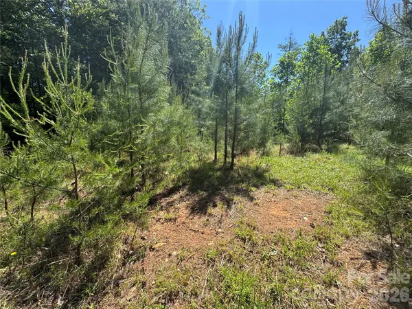 $99,000 | 2 Lentz Landing Lane, Nebo, NC 28761
