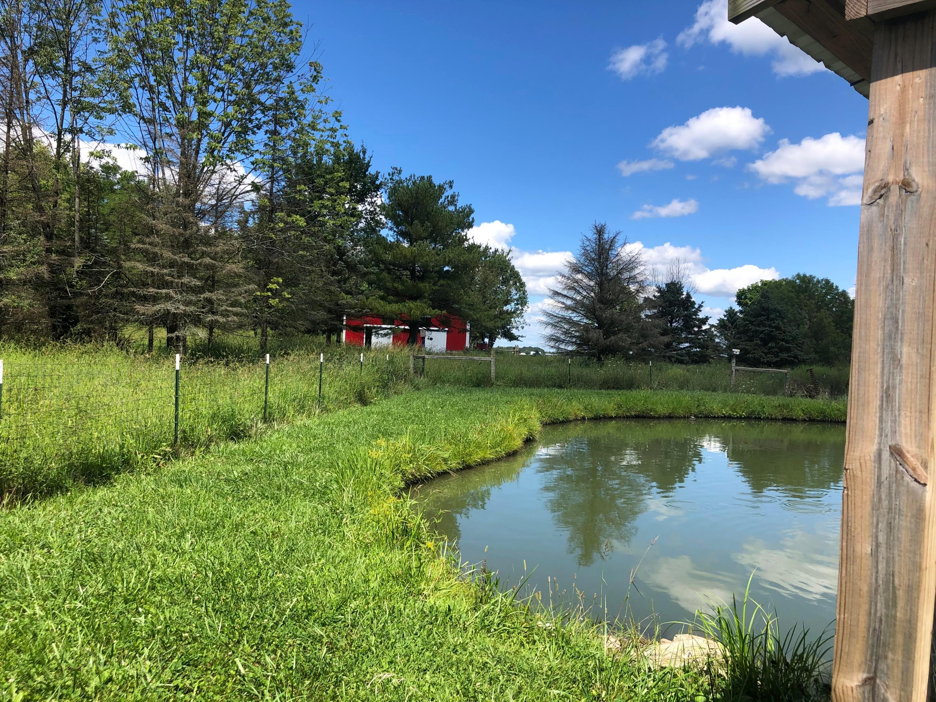 7965 Heigle Road Southwest Amanda, OH 43102 - Photo 4 of 54
