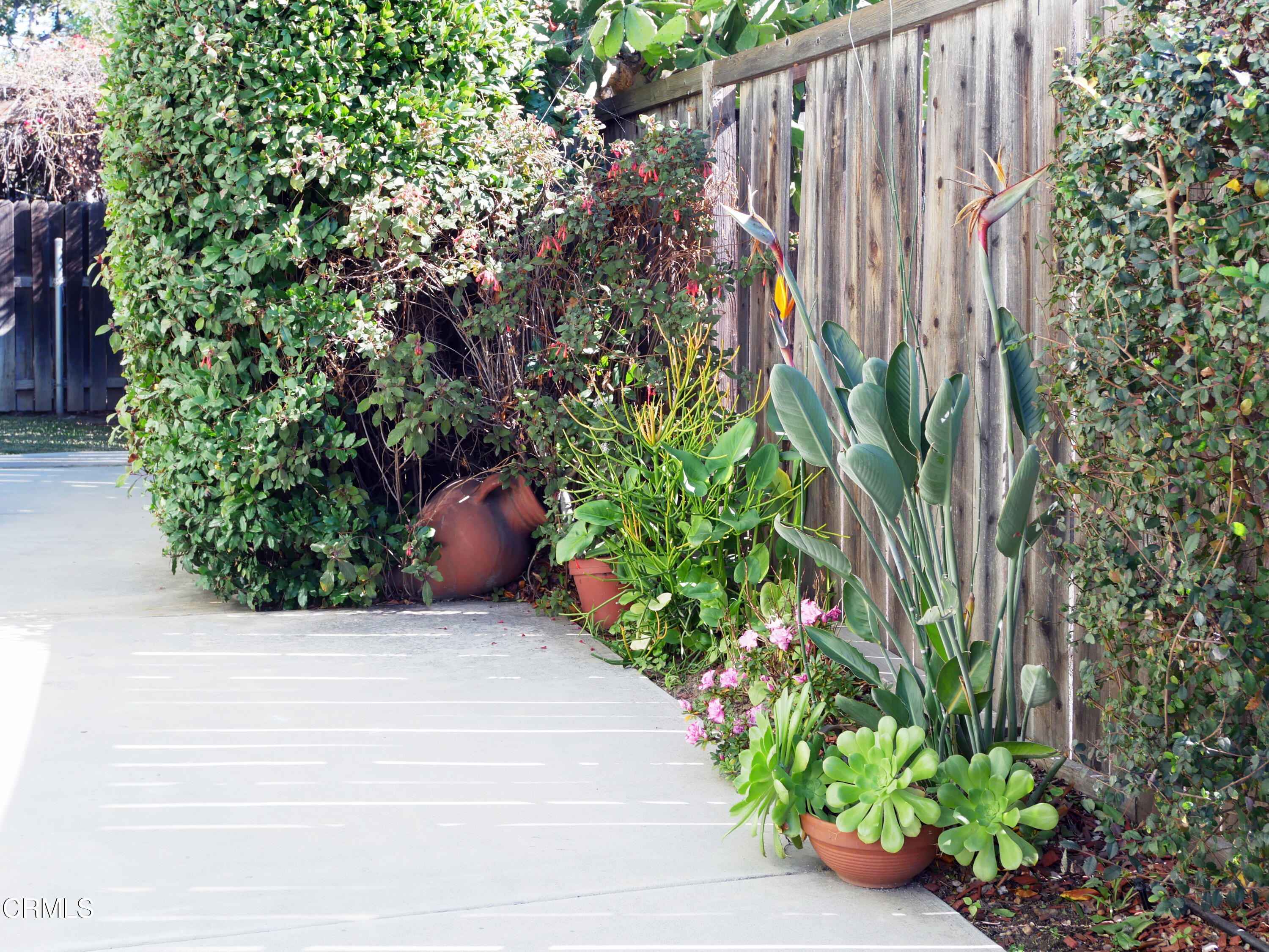 923 Morada Place Altadena, CA 91001 - Photo 17 of 19 a view of a garden with potted plants