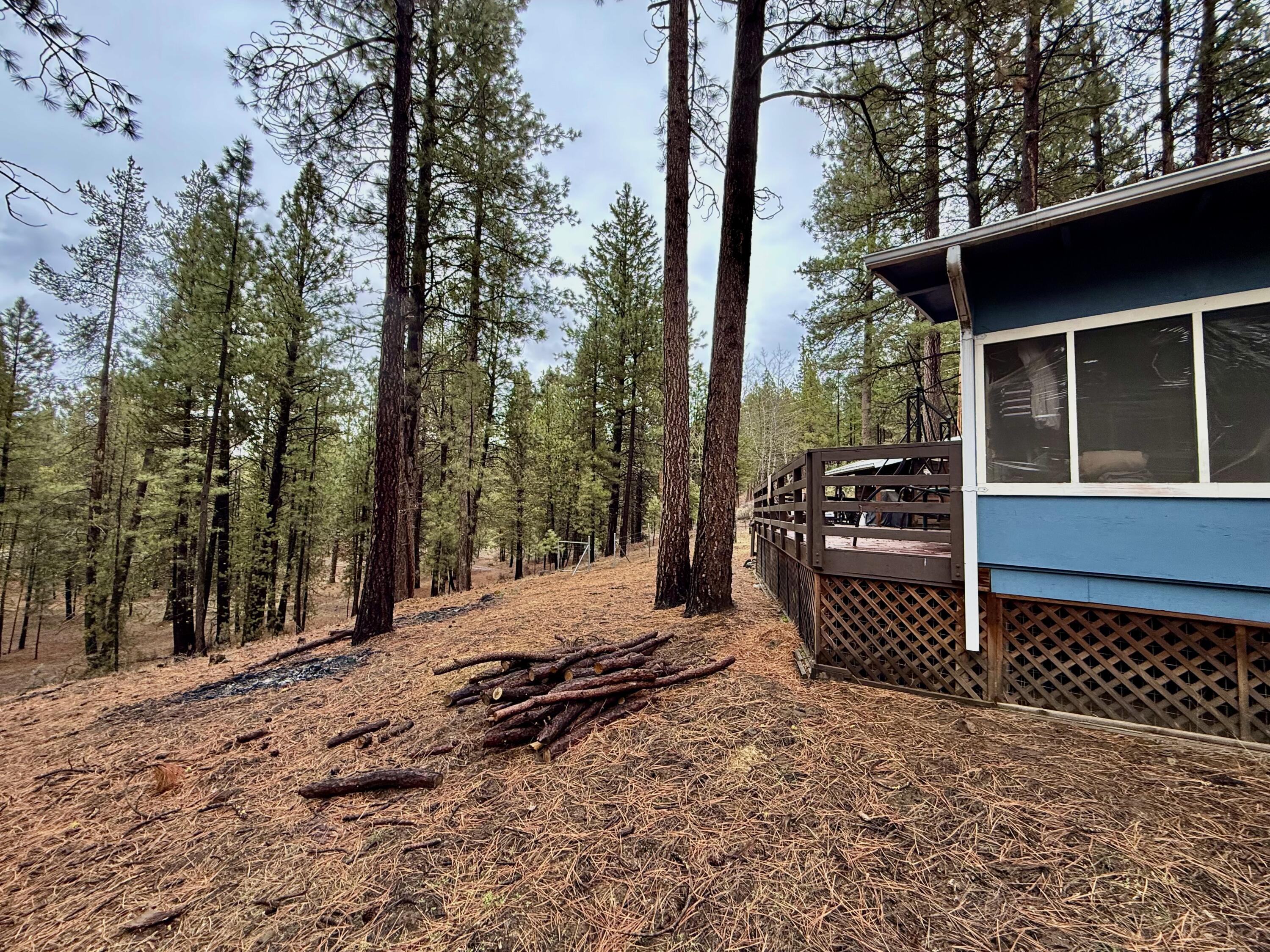 38965 Chiloquin Ridge Road Chiloquin, OR 97624 - Photo 12 of 59 a backyard of a house with barbeque oven and trees