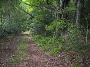 0 Martin Meadow Pond Road Whitefield, NH 03598 - Photo 2 of 3