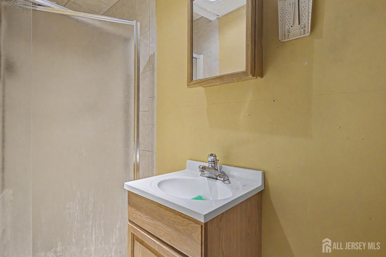 3 Darwin Road Somerset, NJ 08873 - Photo 21 of 29