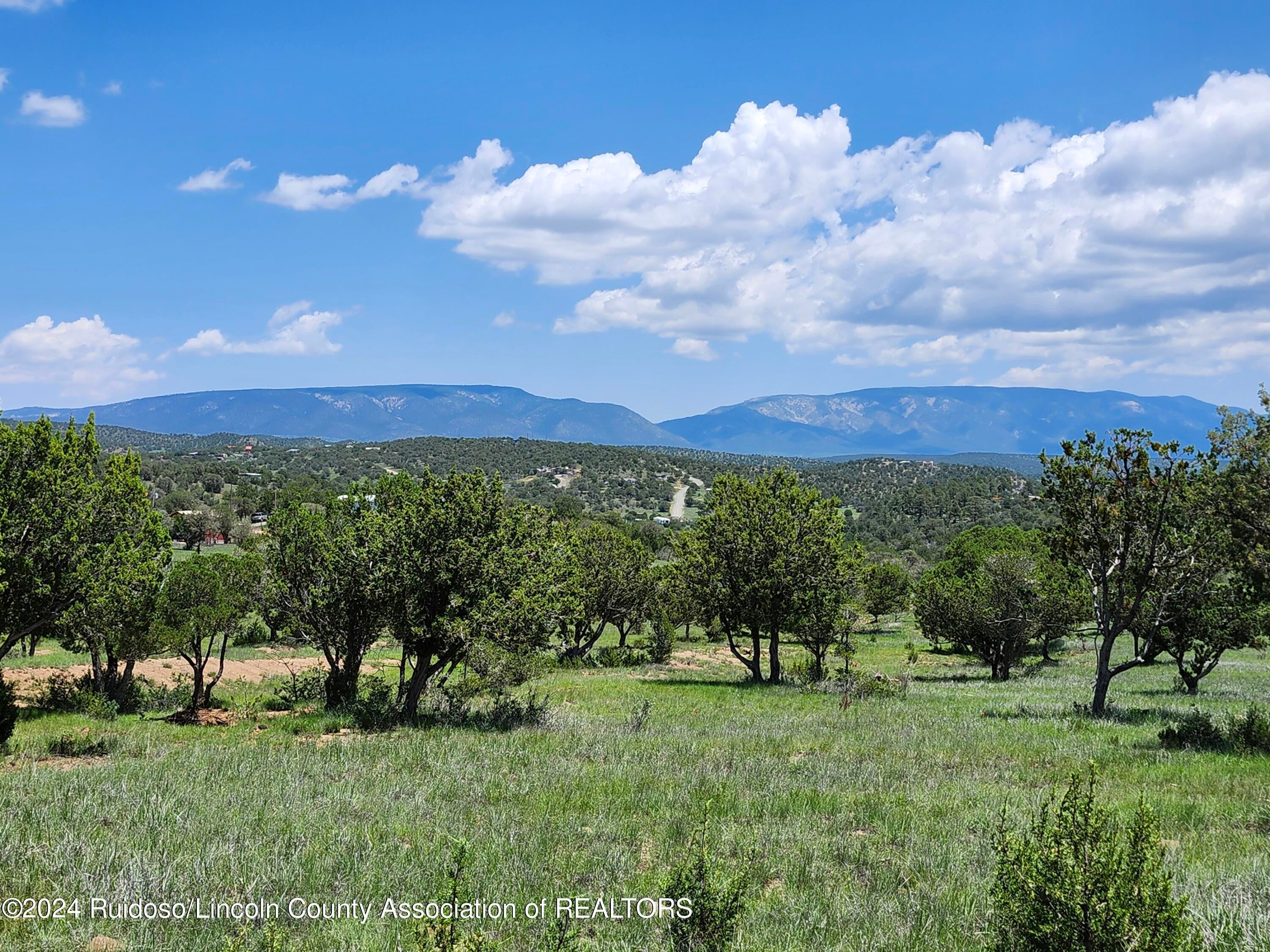 38 B Bancroft Road Capitan, NM 88316 - Photo 1 of 1 7-24 pic (8)