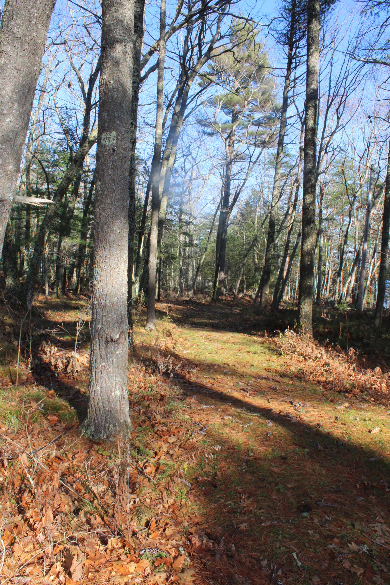 0 Adams Road Brunswick, ME 04011 - Photo 6 of 19 2396
