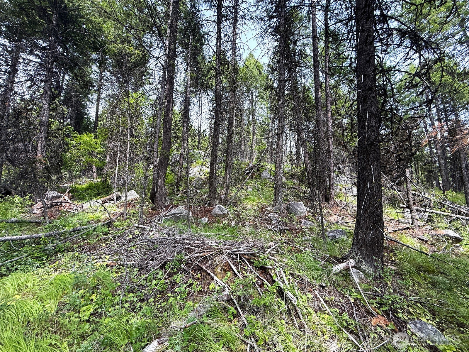 0 Mule Deer Road Republic, WA 99166 - Photo 6 of 9