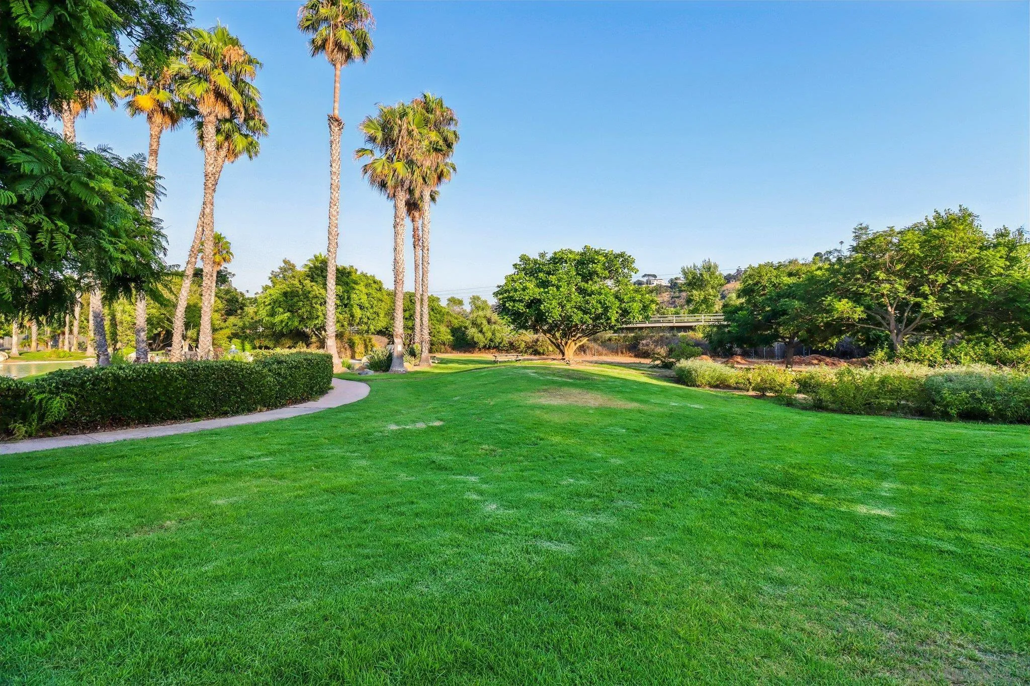 5645 Friars Road, Unit 386 San Diego, CA 92110 - Photo 36 of 45 a view of a garden with a house in the background