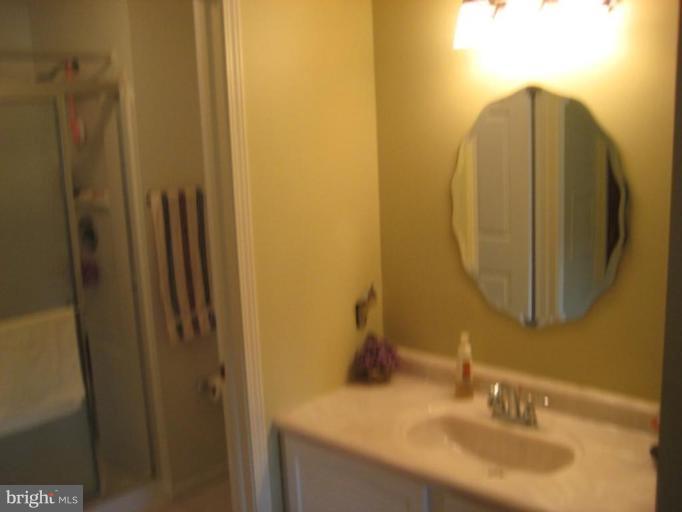 1196 Long Valley Road Westminster, MD 21158 - Photo 22 of 29 Master Bath