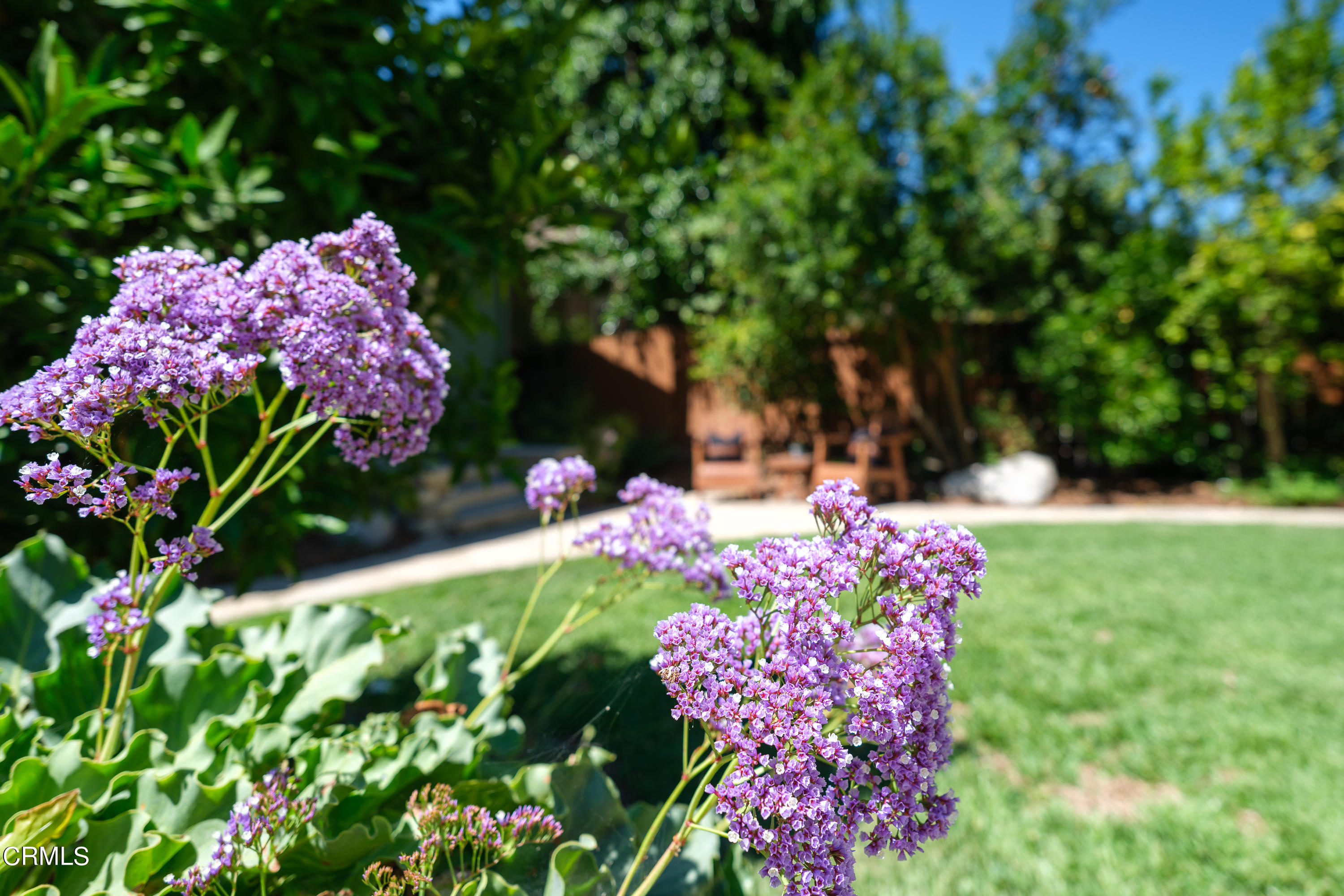 1836 Monterey Road South Pasadena, CA 91030 - Photo 22 of 24 a view of a flower in a garden
