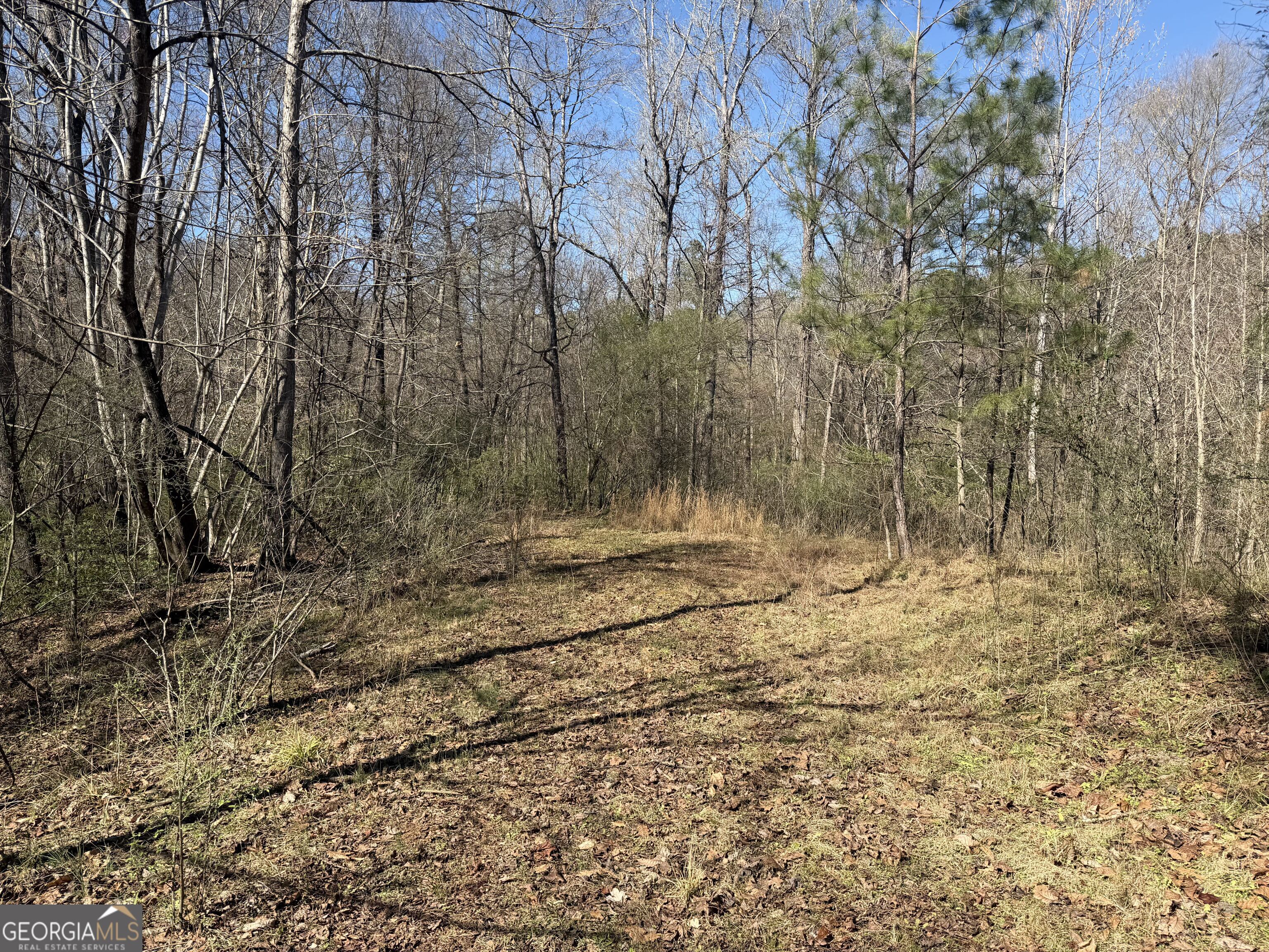 0 John Rucker Road Elberton, GA 30635 - Photo 12 of 76 a view of a yard with trees