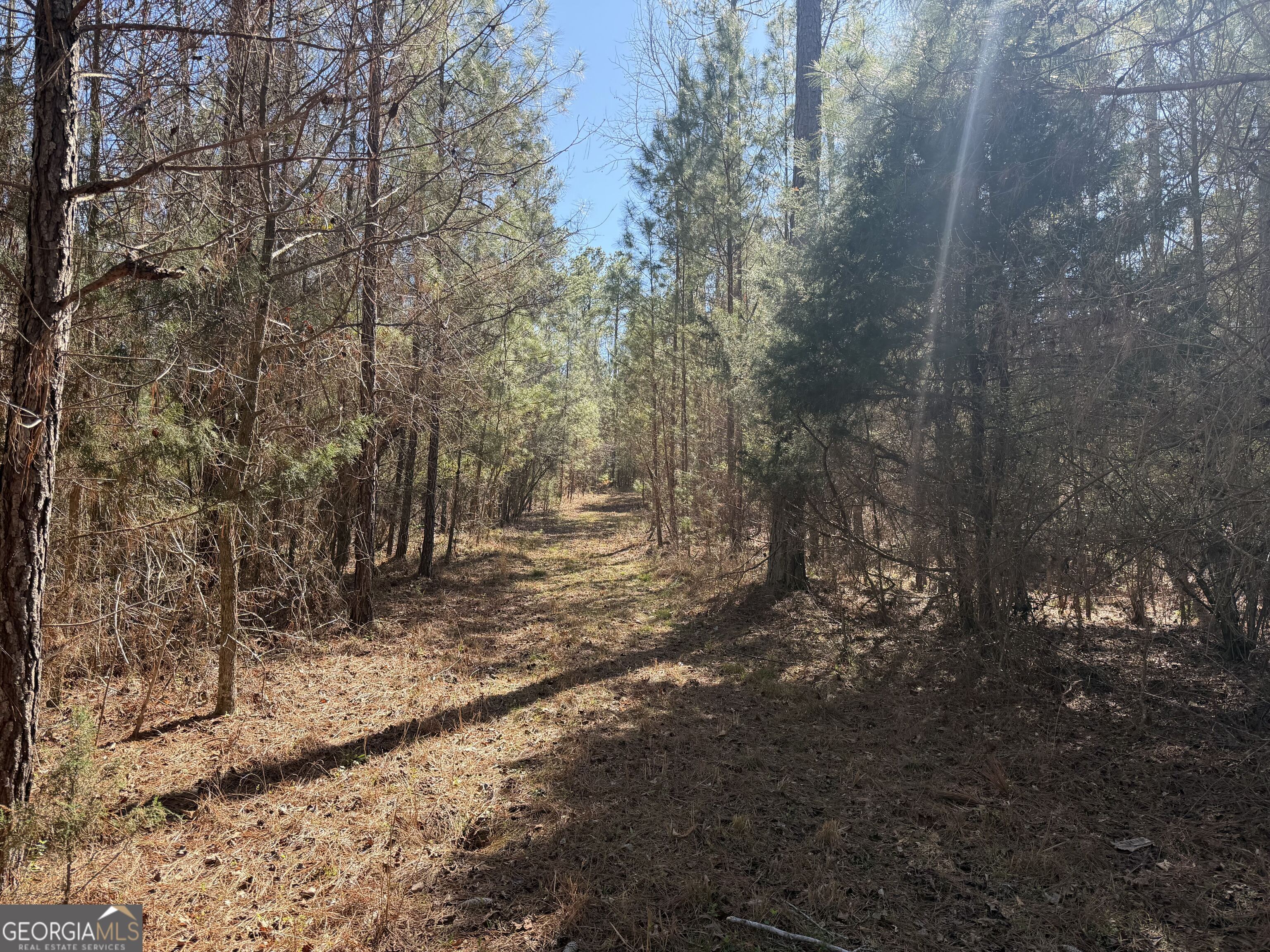 0 John Rucker Road Elberton, GA 30635 - Photo 14 of 76 a view of a forest with trees