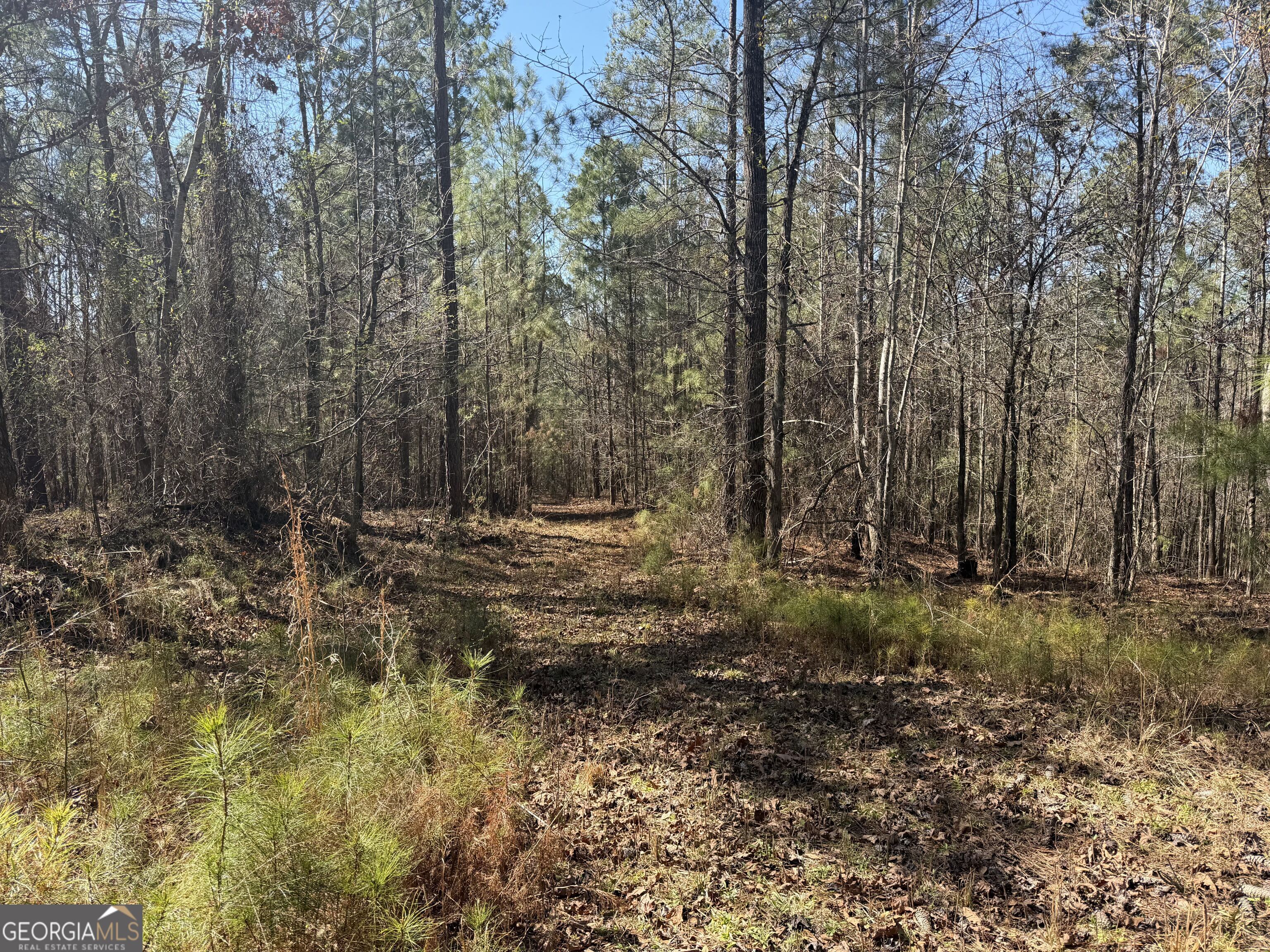 0 John Rucker Road Elberton, GA 30635 - Photo 15 of 76 a view of outdoor space and green space