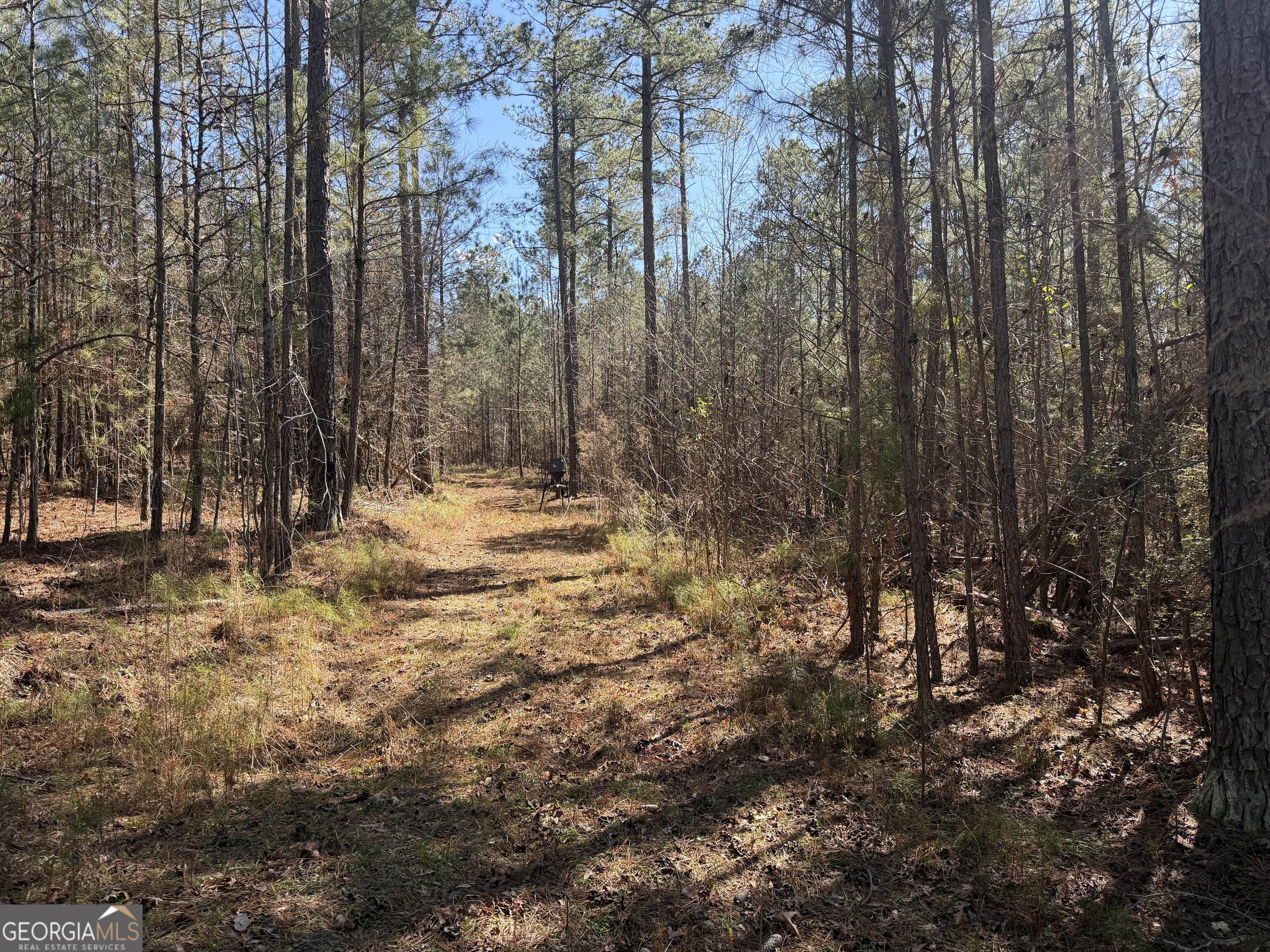 0 John Rucker Road Elberton, GA 30635 - Photo 16 of 76 a view of outdoor space with trees
