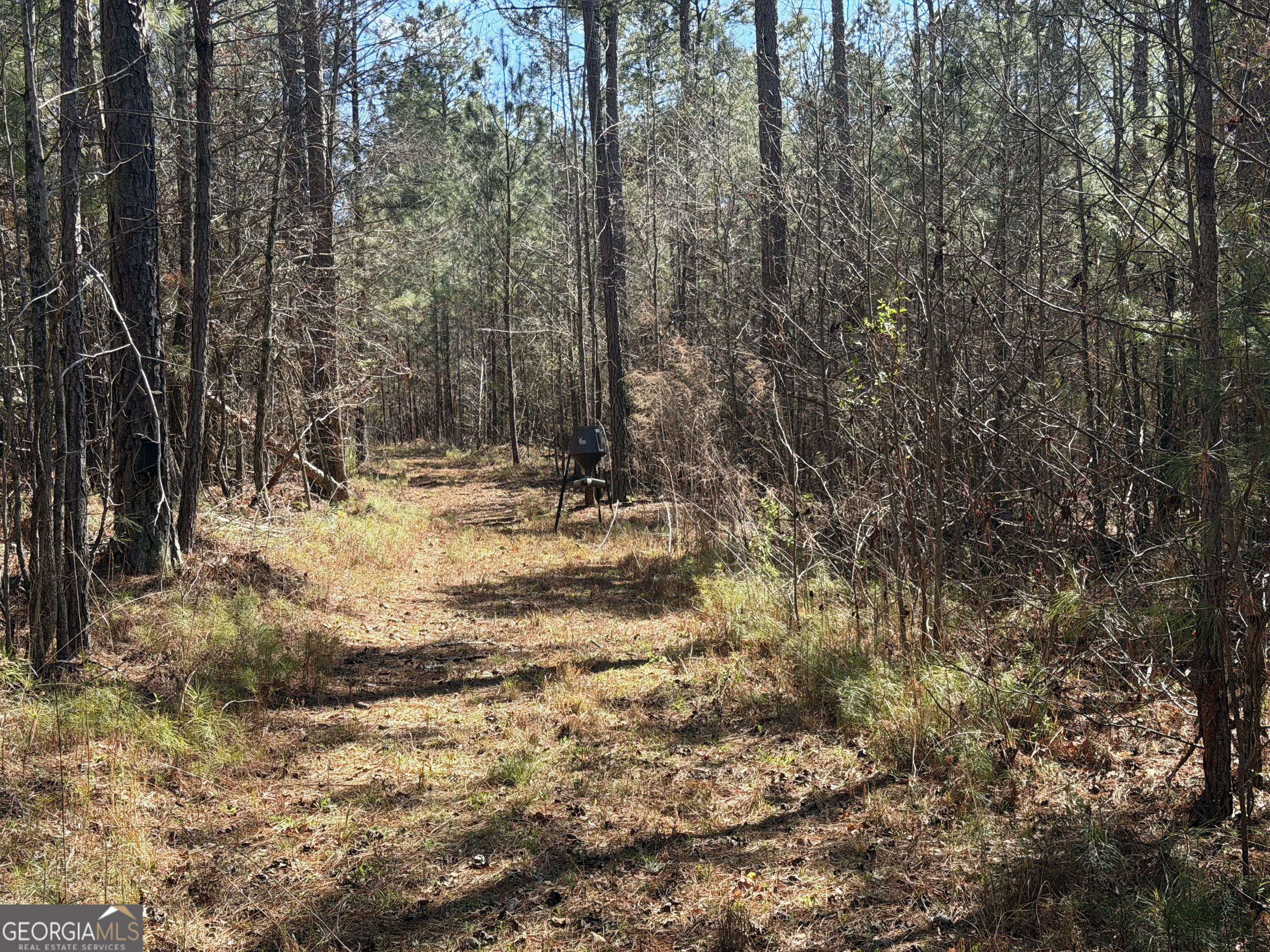 0 John Rucker Road Elberton, GA 30635 - Photo 17 of 76 a view of a yard with trees