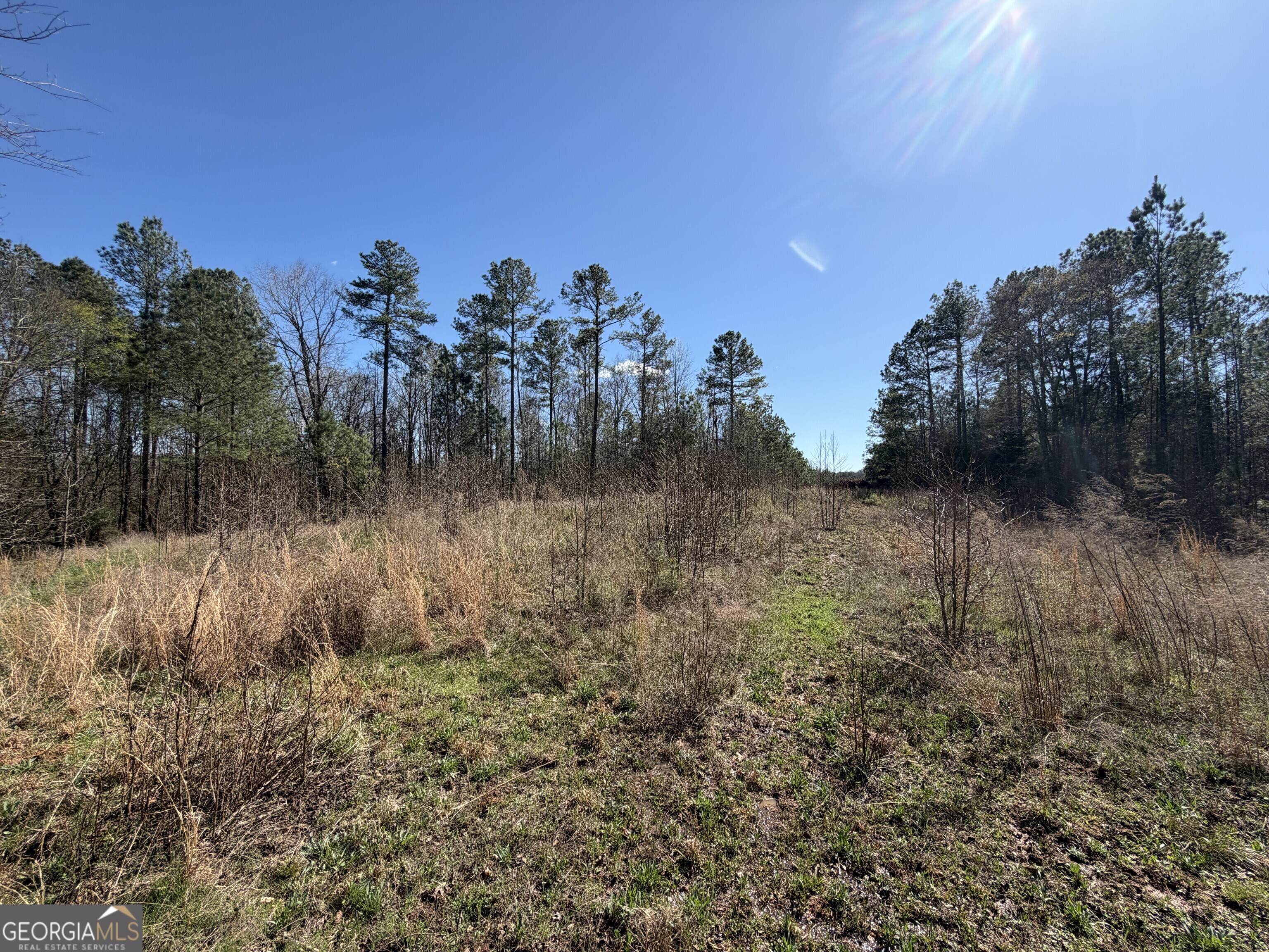 0 John Rucker Road Elberton, GA 30635 - Photo 18 of 76 a view of a yard