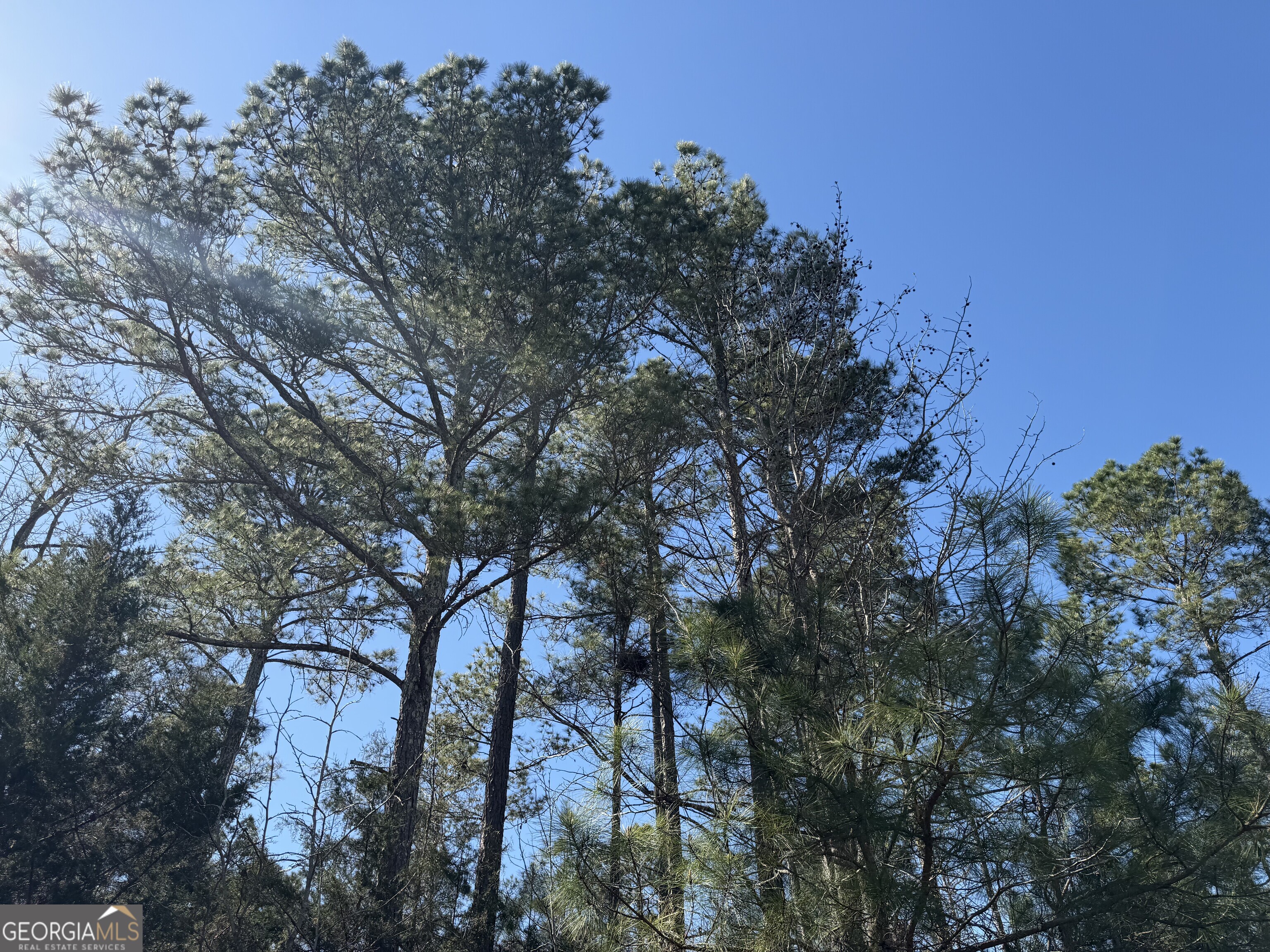 0 John Rucker Road Elberton, GA 30635 - Photo 19 of 76 a backyard of a house with lots of trees