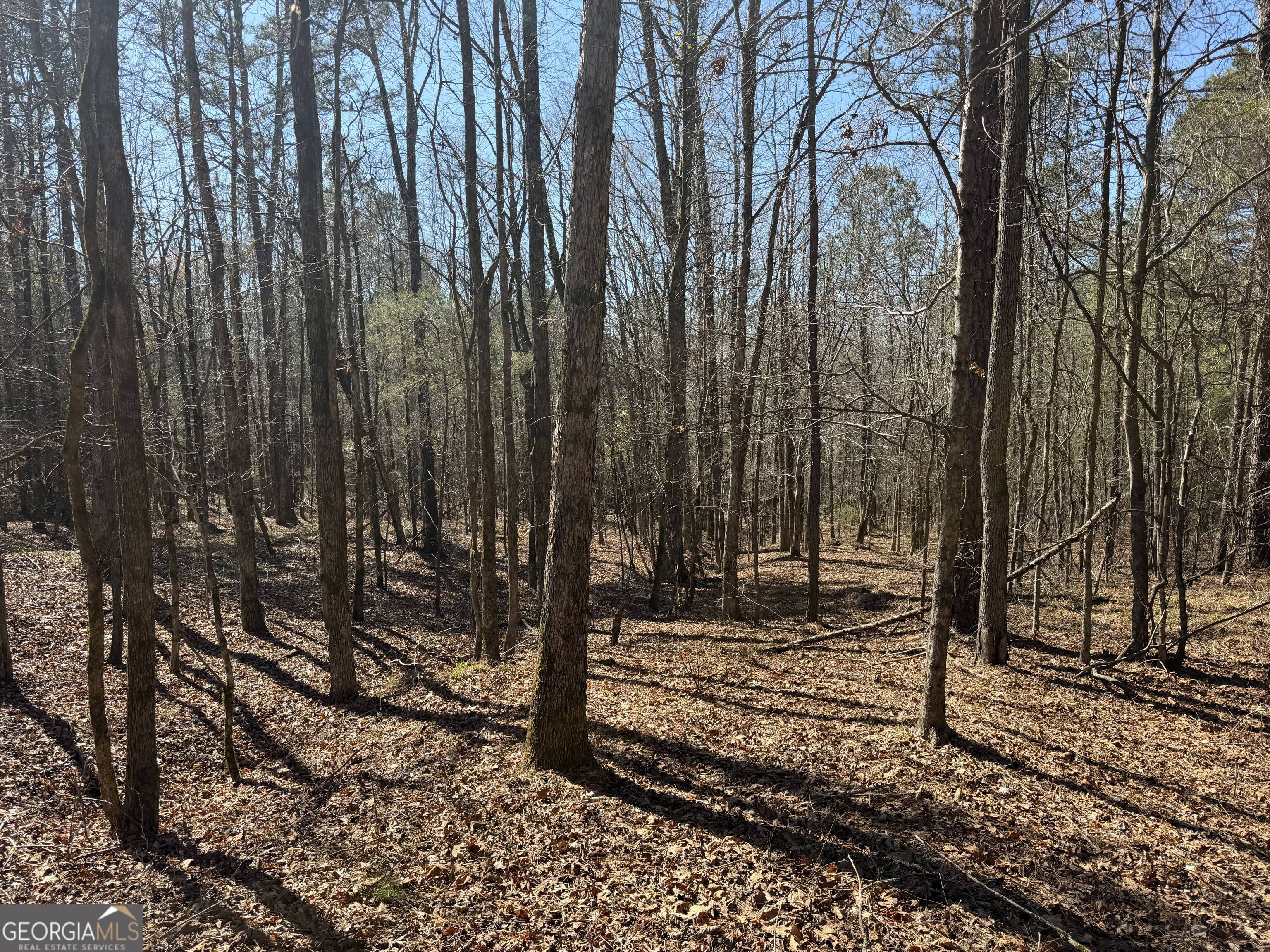 0 John Rucker Road Elberton, GA 30635 - Photo 21 of 76