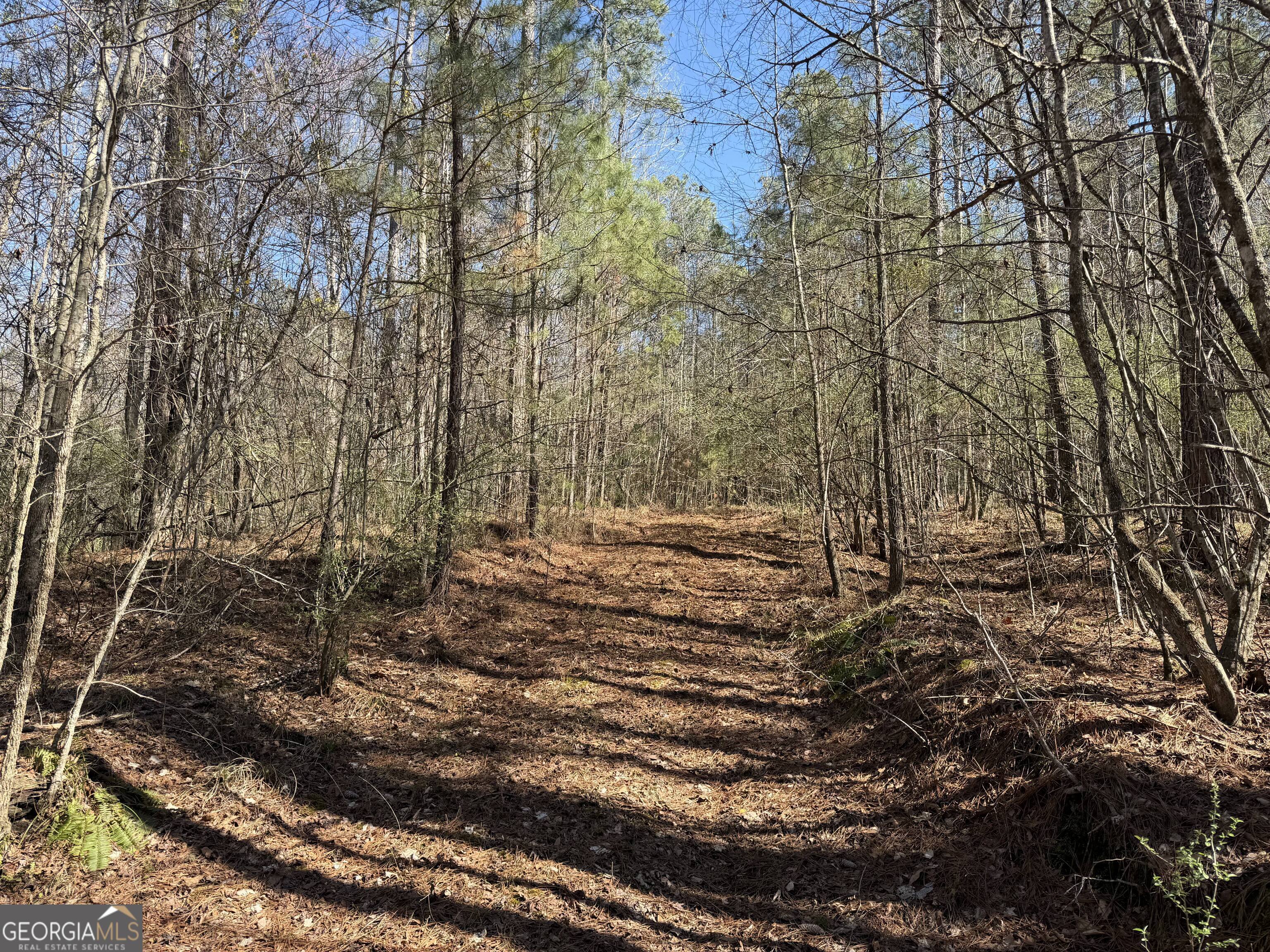 0 John Rucker Road Elberton, GA 30635 - Photo 22 of 76