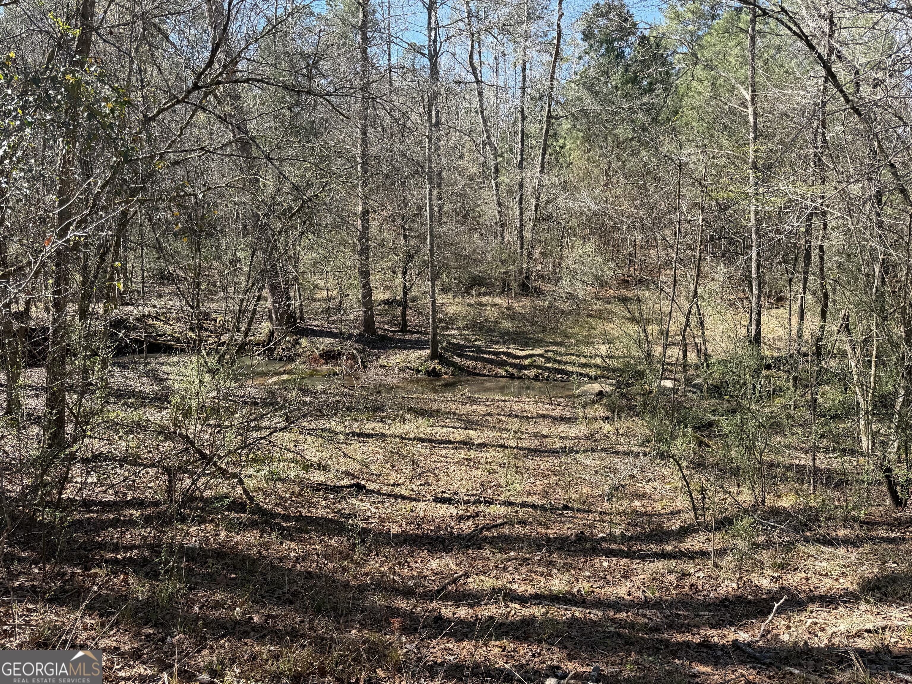 0 John Rucker Road Elberton, GA 30635 - Photo 23 of 76
