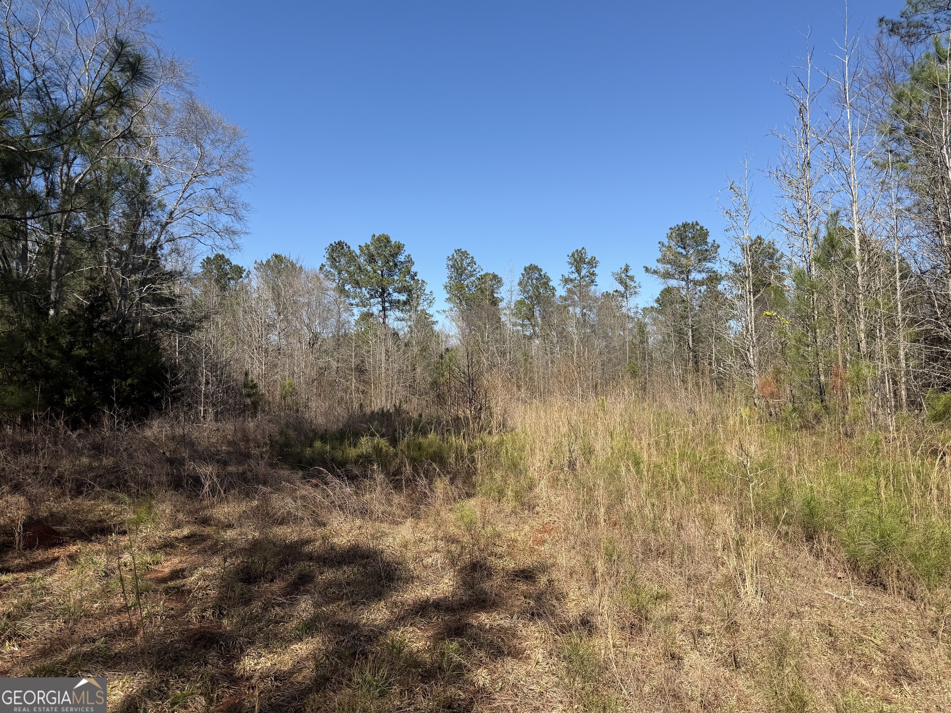 0 John Rucker Road Elberton, GA 30635 - Photo 3 of 76