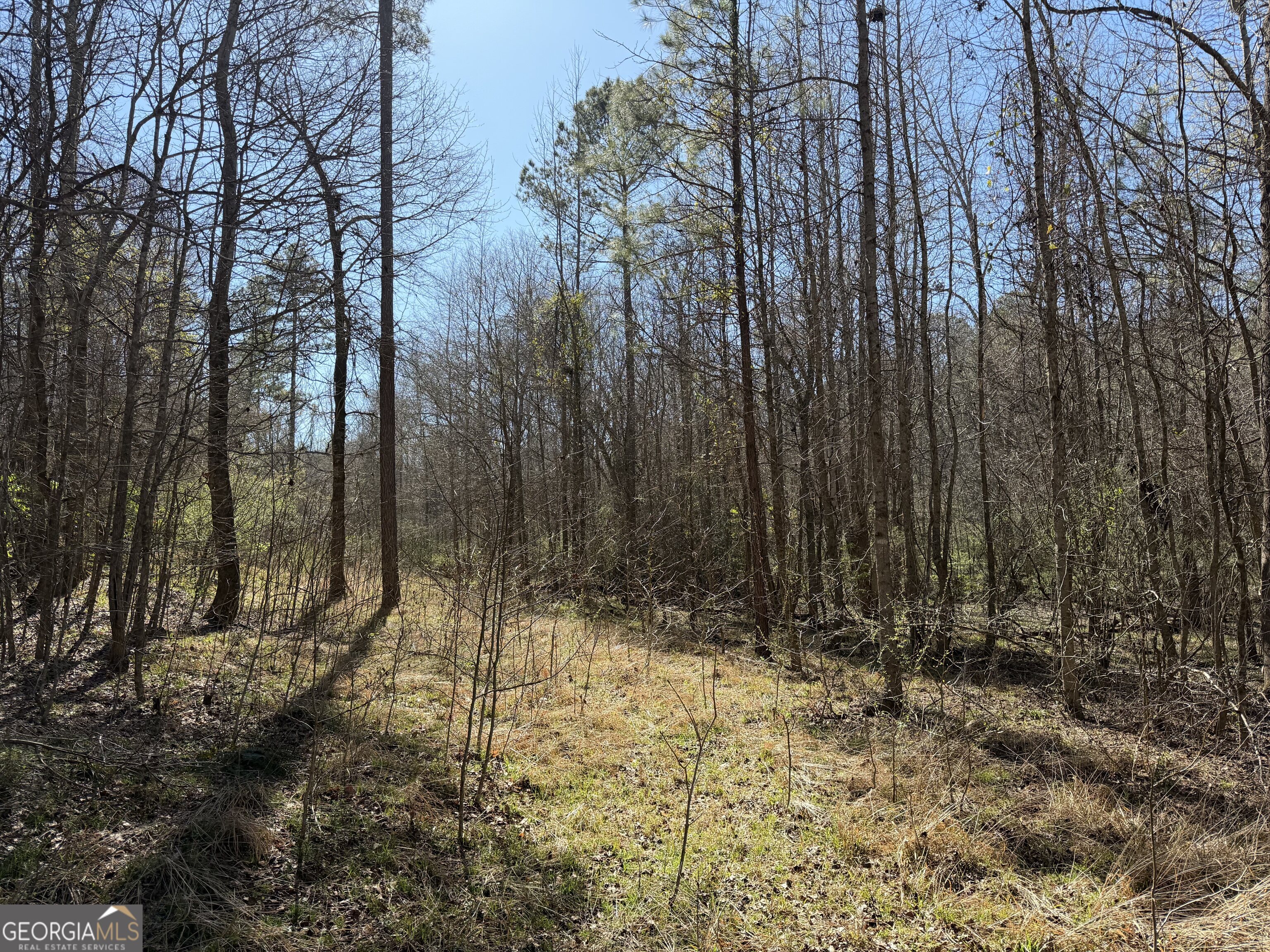 0 John Rucker Road Elberton, GA 30635 - Photo 33 of 76