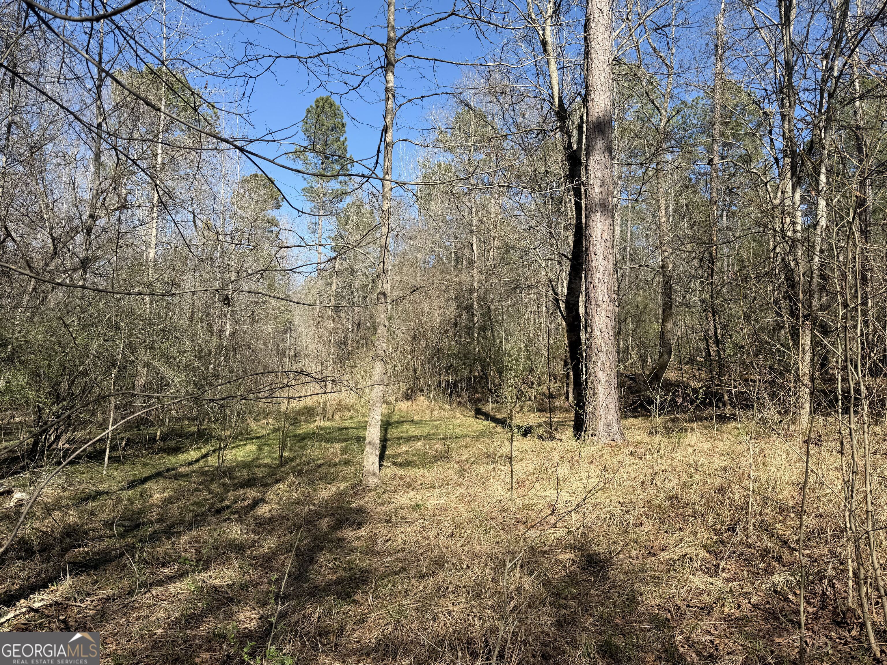 0 John Rucker Road Elberton, GA 30635 - Photo 36 of 76