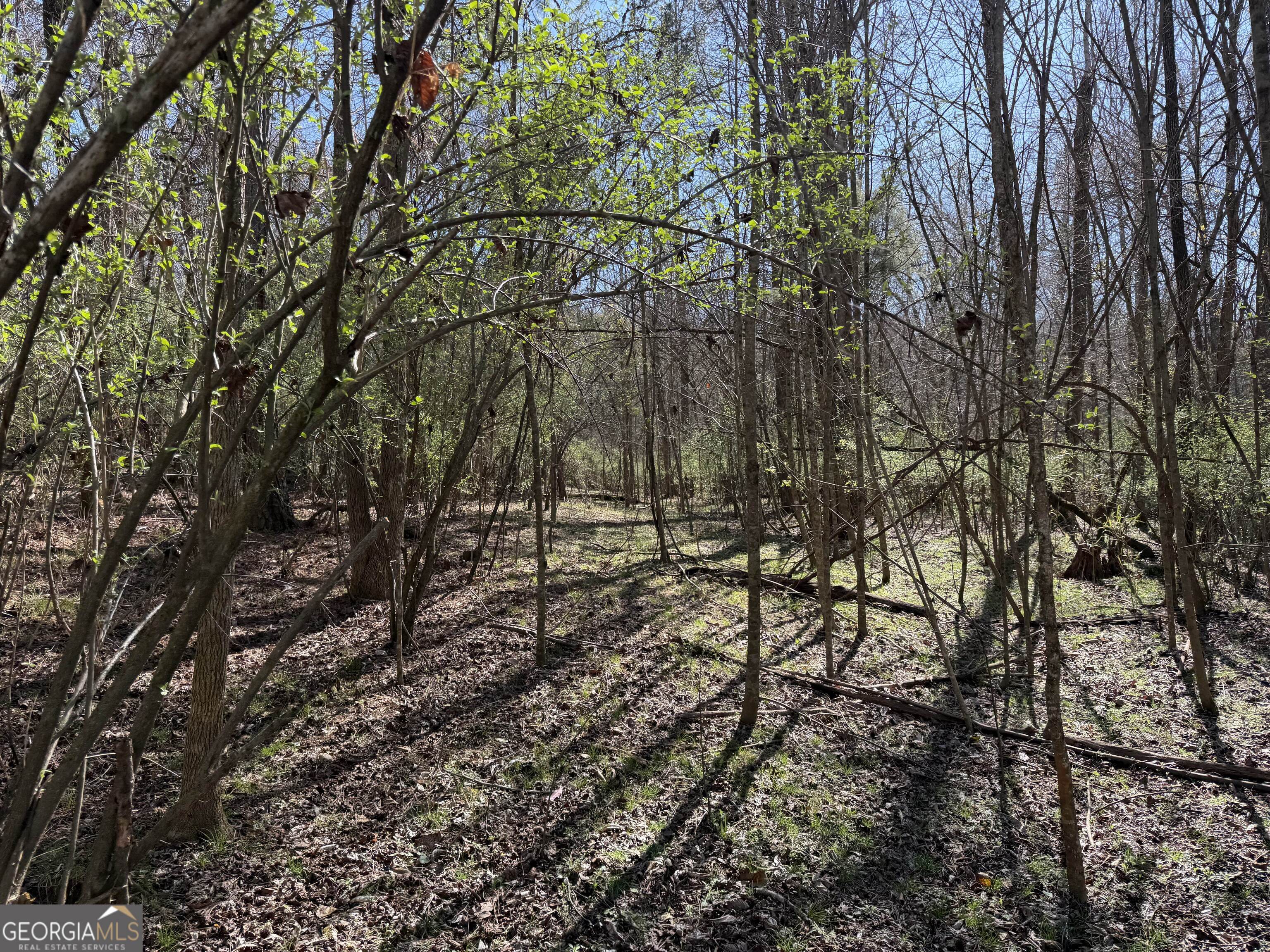 0 John Rucker Road Elberton, GA 30635 - Photo 37 of 76 a view of covered with green space