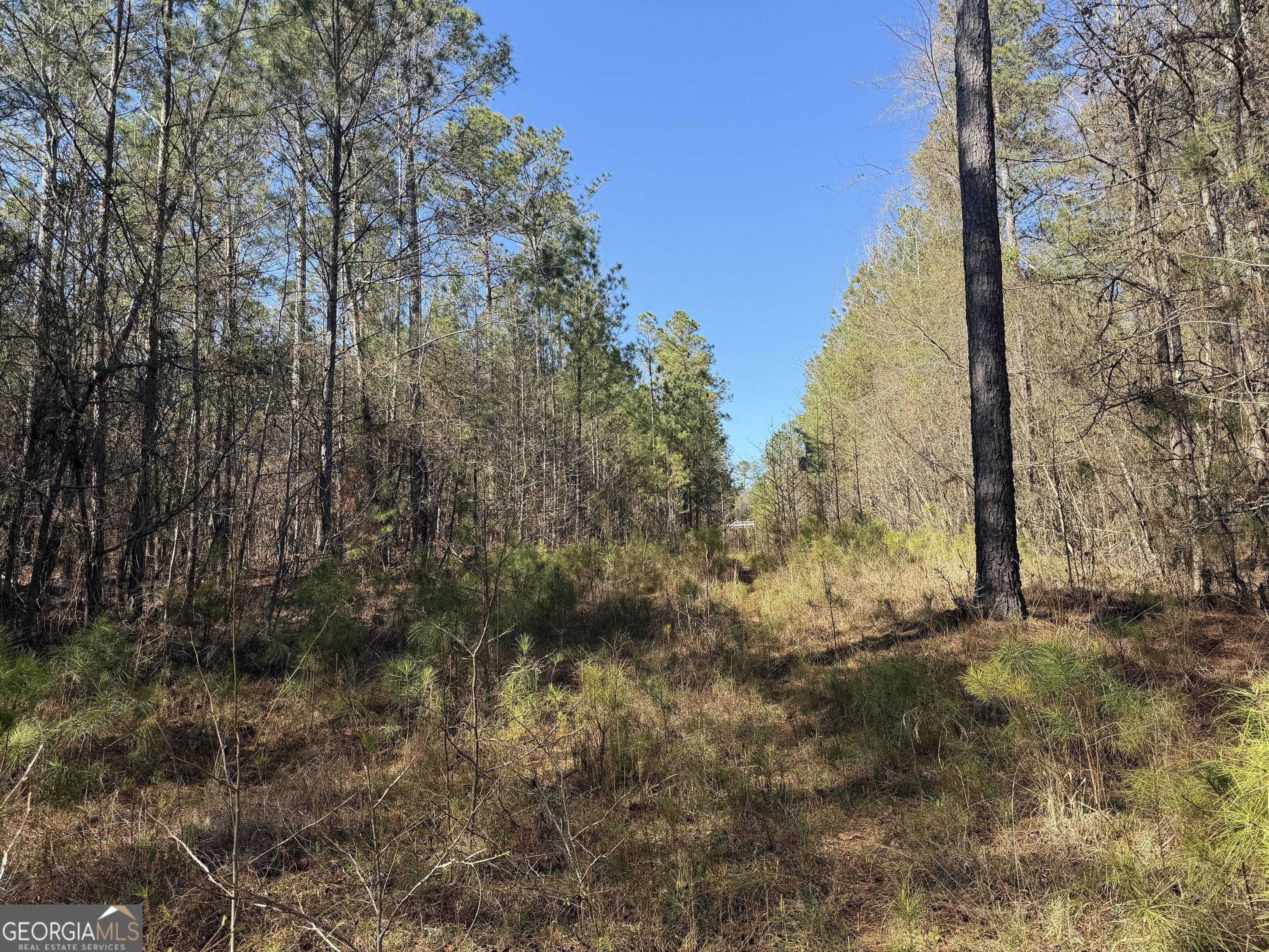 0 John Rucker Road Elberton, GA 30635 - Photo 44 of 76 a view of a yard