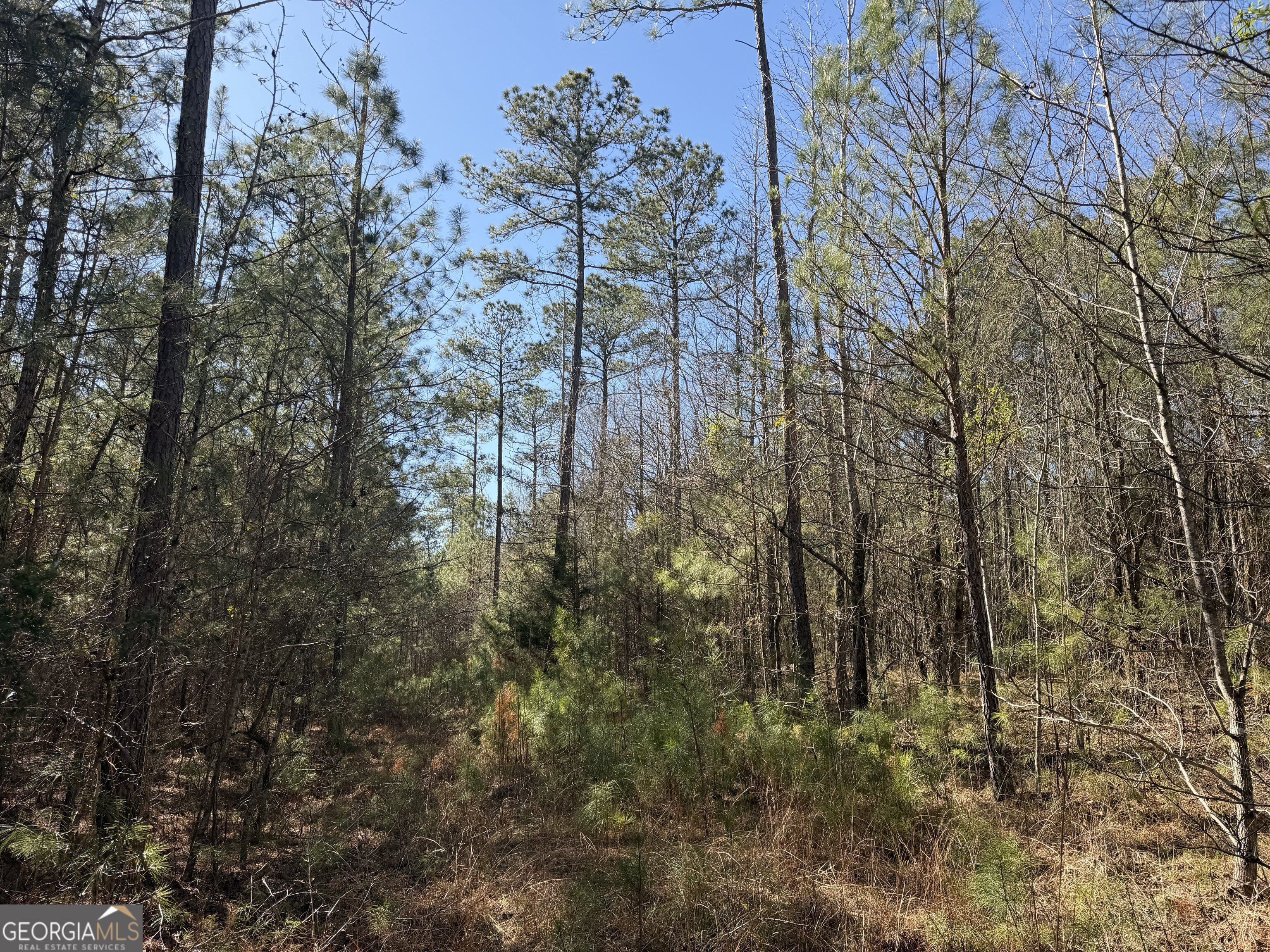 0 John Rucker Road Elberton, GA 30635 - Photo 47 of 76