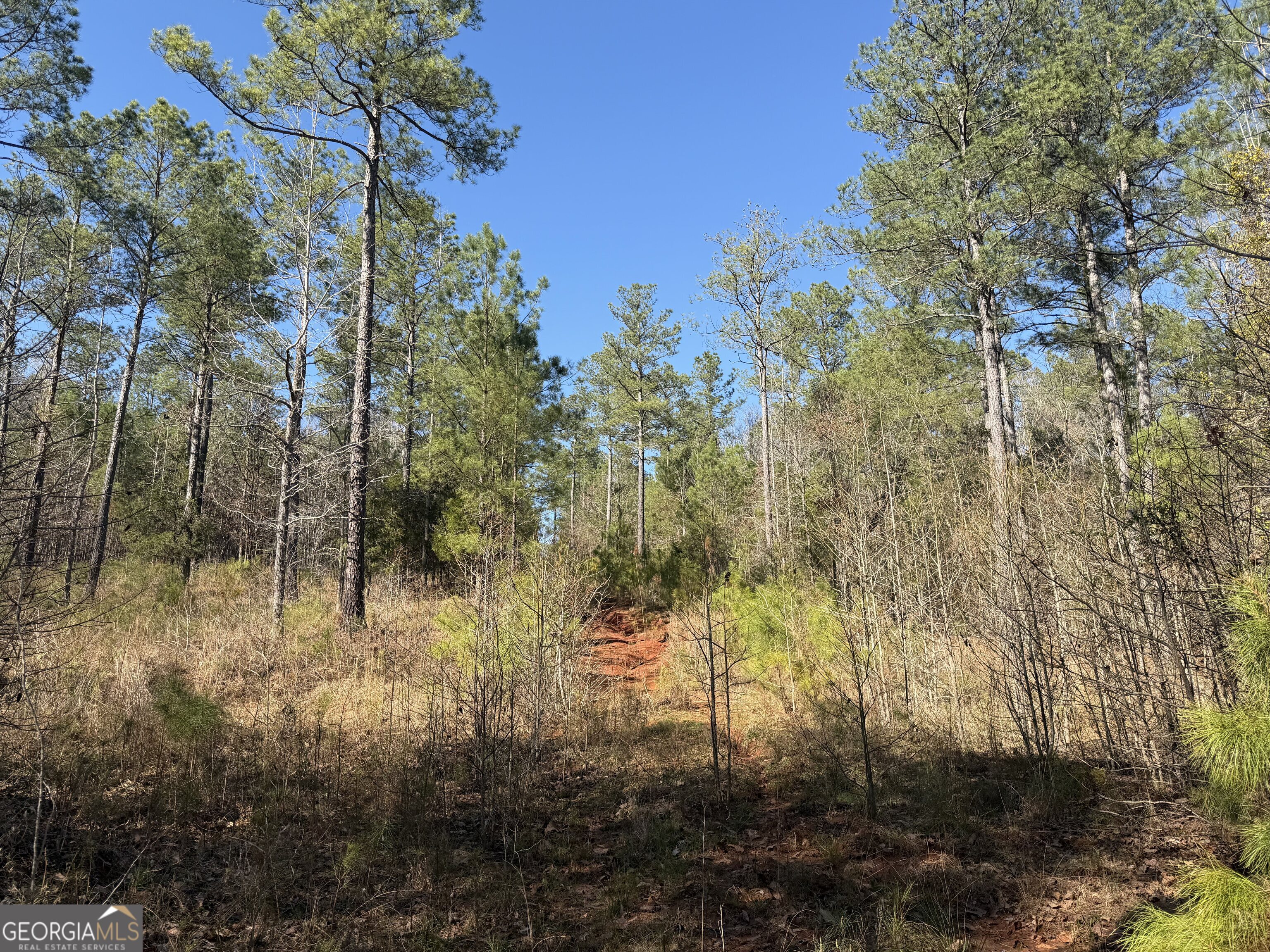 0 John Rucker Road Elberton, GA 30635 - Photo 50 of 76