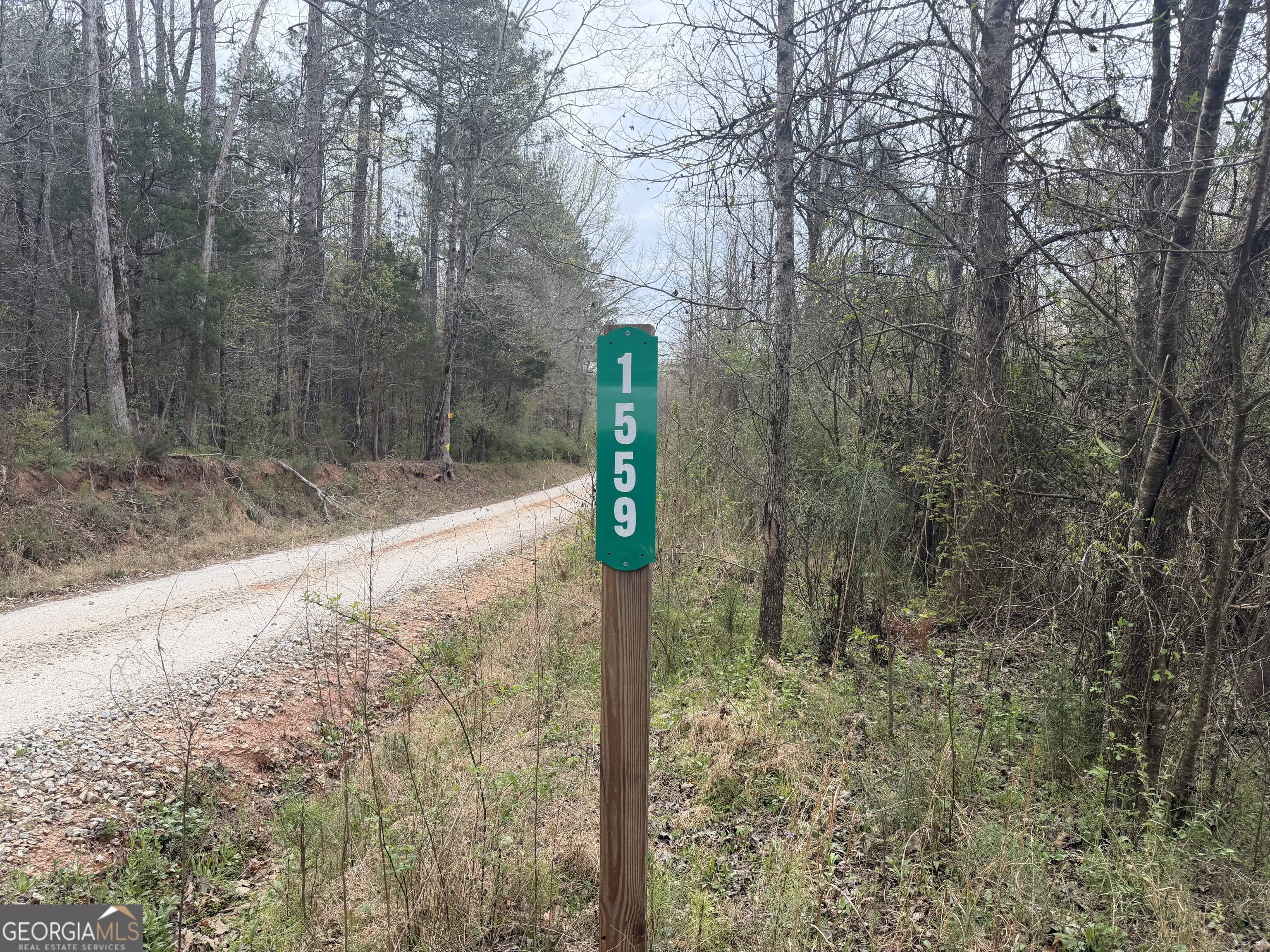 0 John Rucker Road Elberton, GA 30635 - Photo 54 of 76 a street view with tall trees