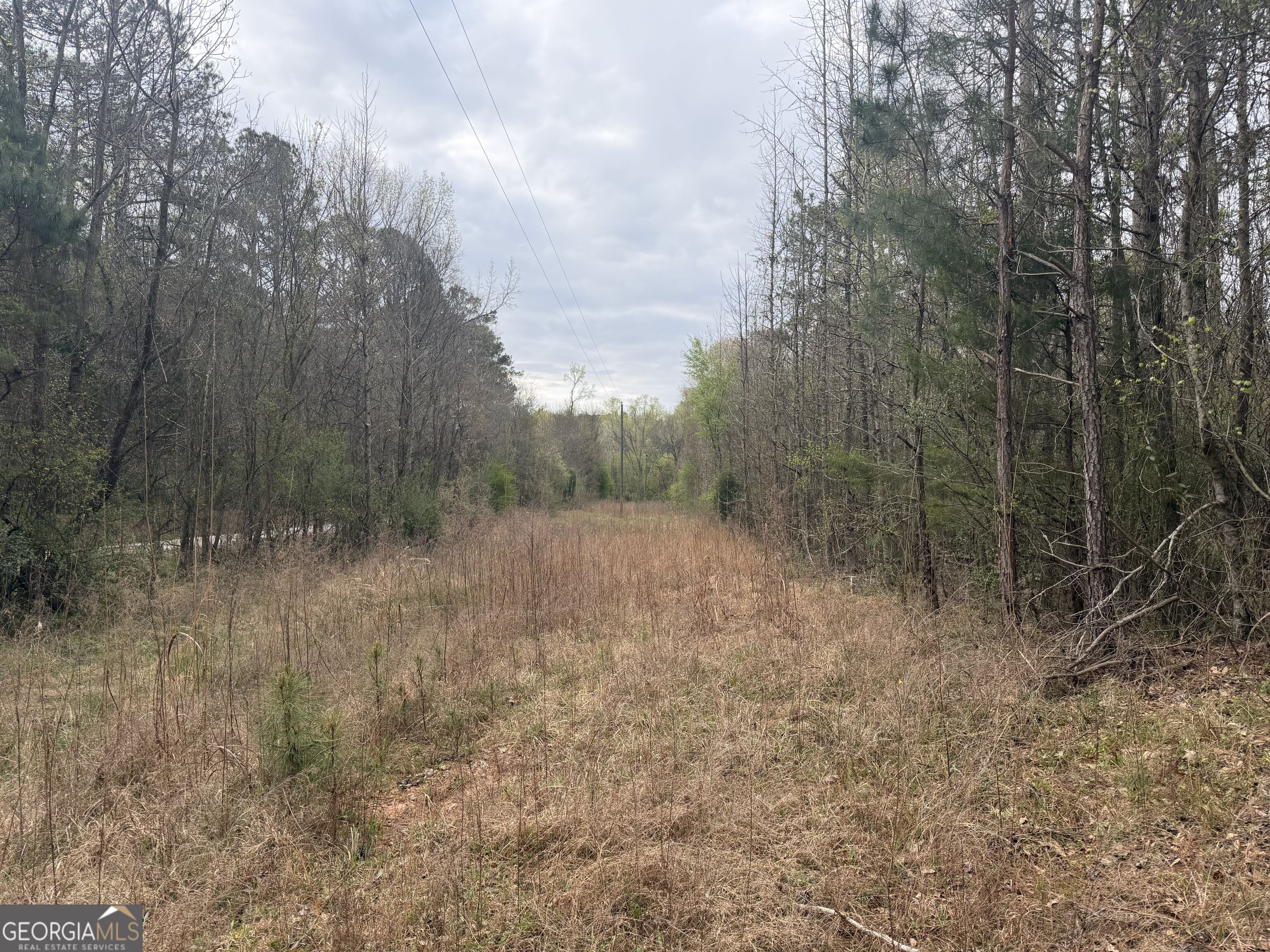 0 John Rucker Road Elberton, GA 30635 - Photo 55 of 76 a view of a forest filled with trees