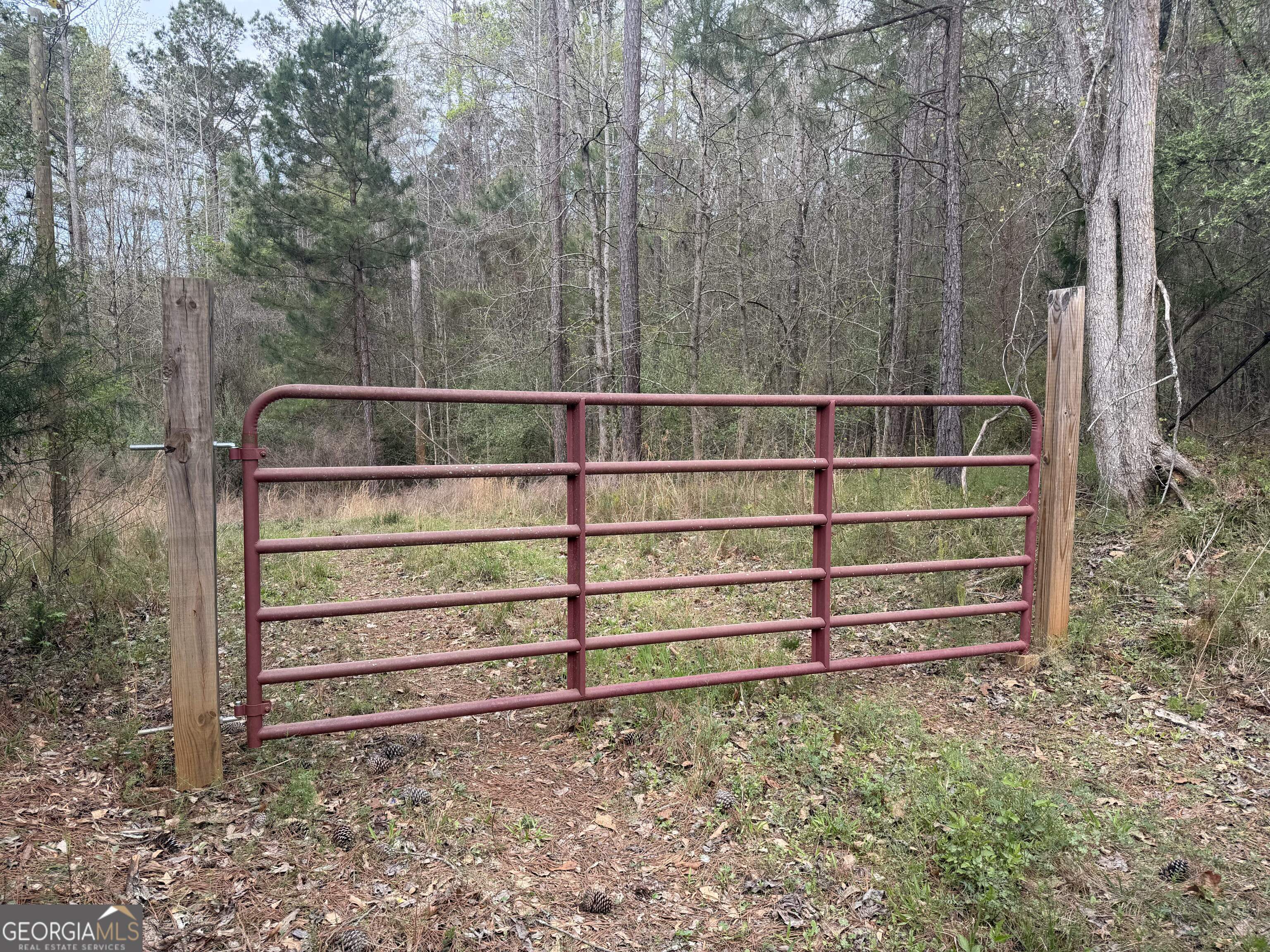 0 John Rucker Road Elberton, GA 30635 - Photo 56 of 76 a view of a wooden bench in a forest