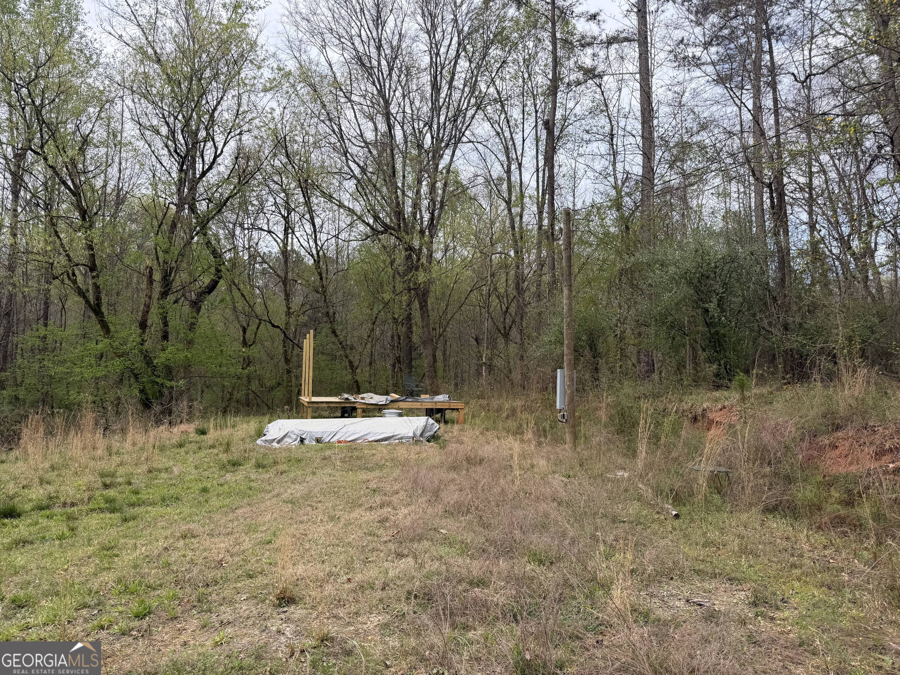 0 John Rucker Road Elberton, GA 30635 - Photo 57 of 76 a view of a yard with a tree