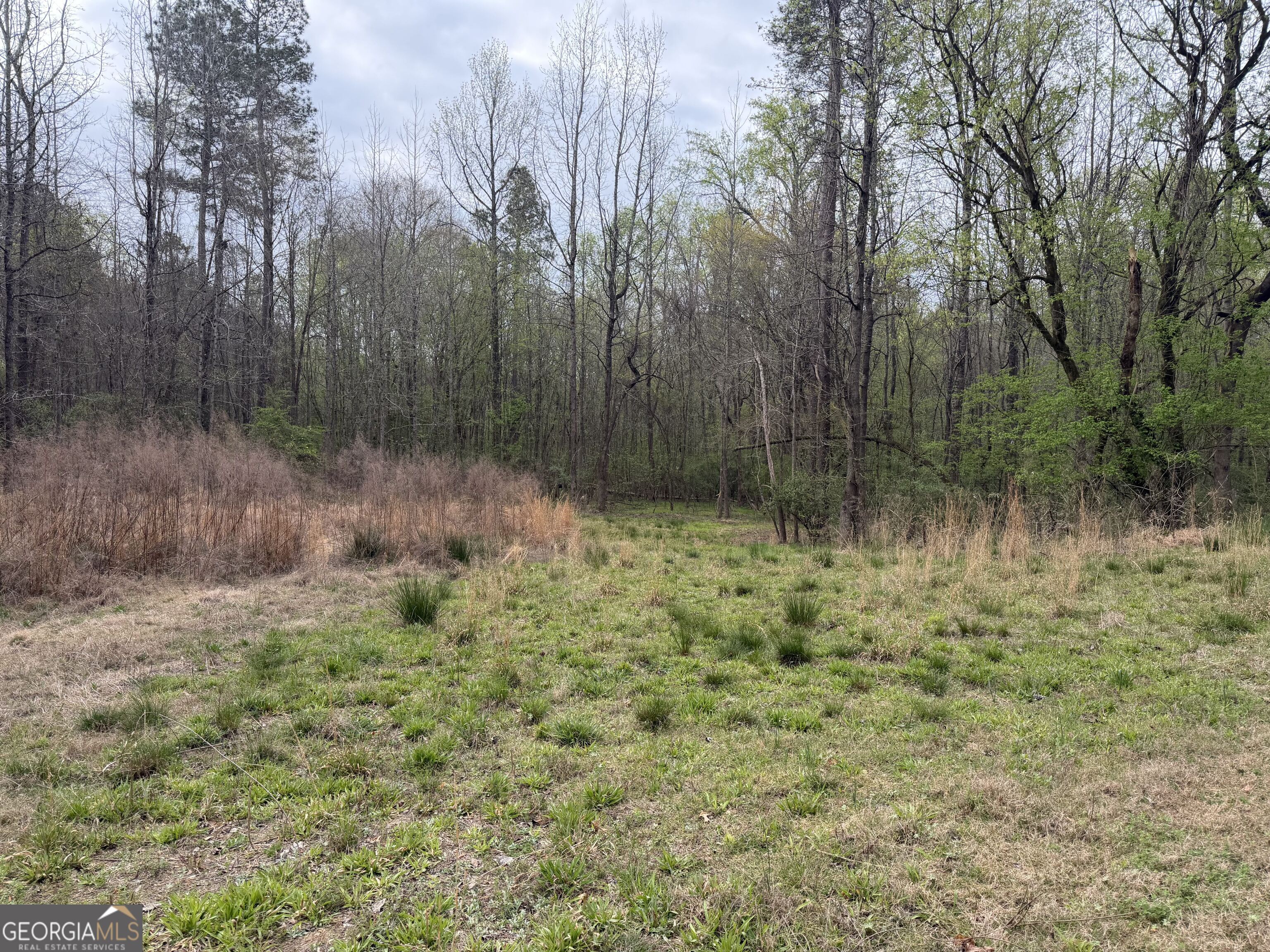 0 John Rucker Road Elberton, GA 30635 - Photo 61 of 76 a view of outdoor space with trees all around