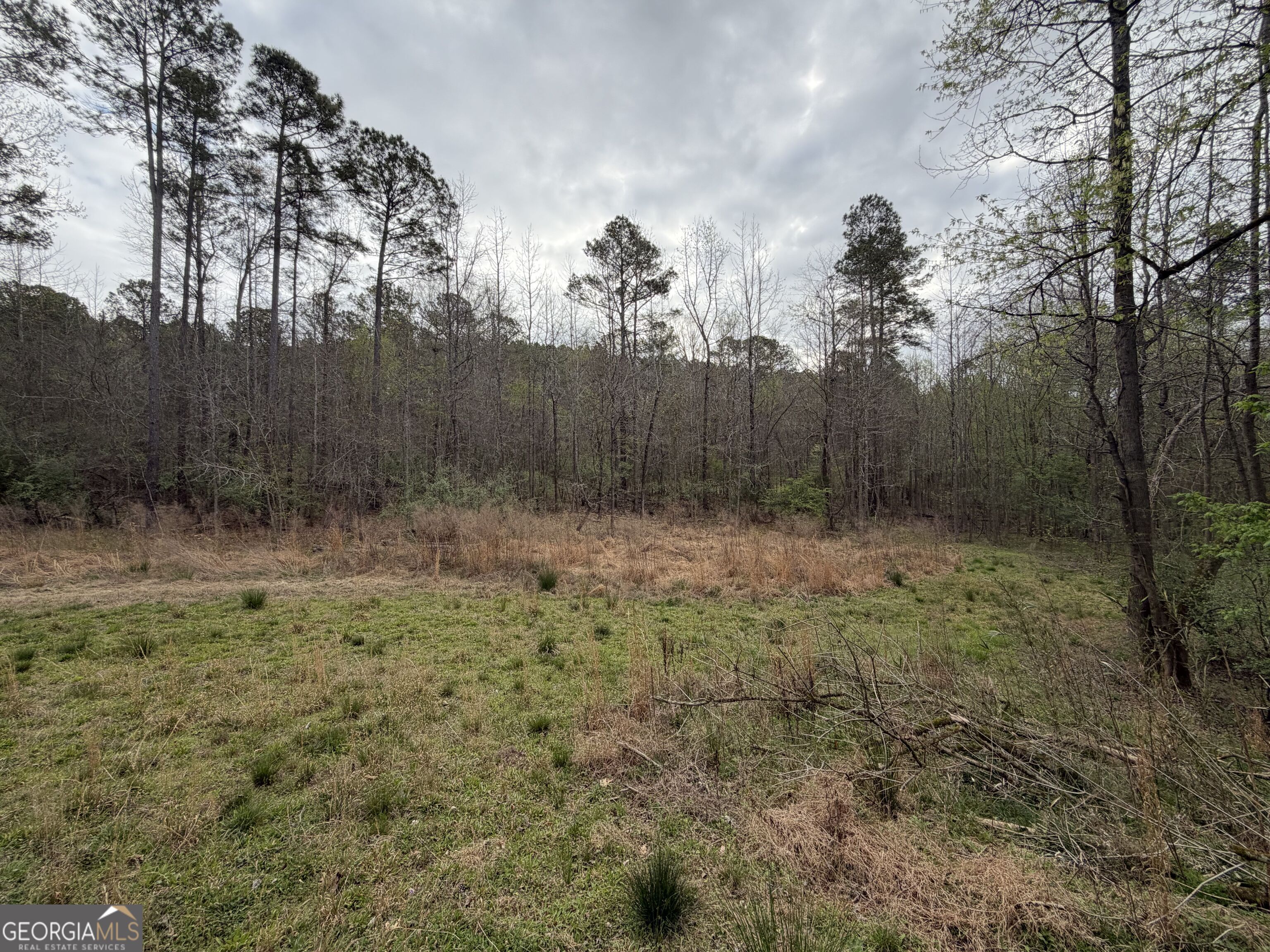 0 John Rucker Road Elberton, GA 30635 - Photo 68 of 76 a view of a yard with a tree