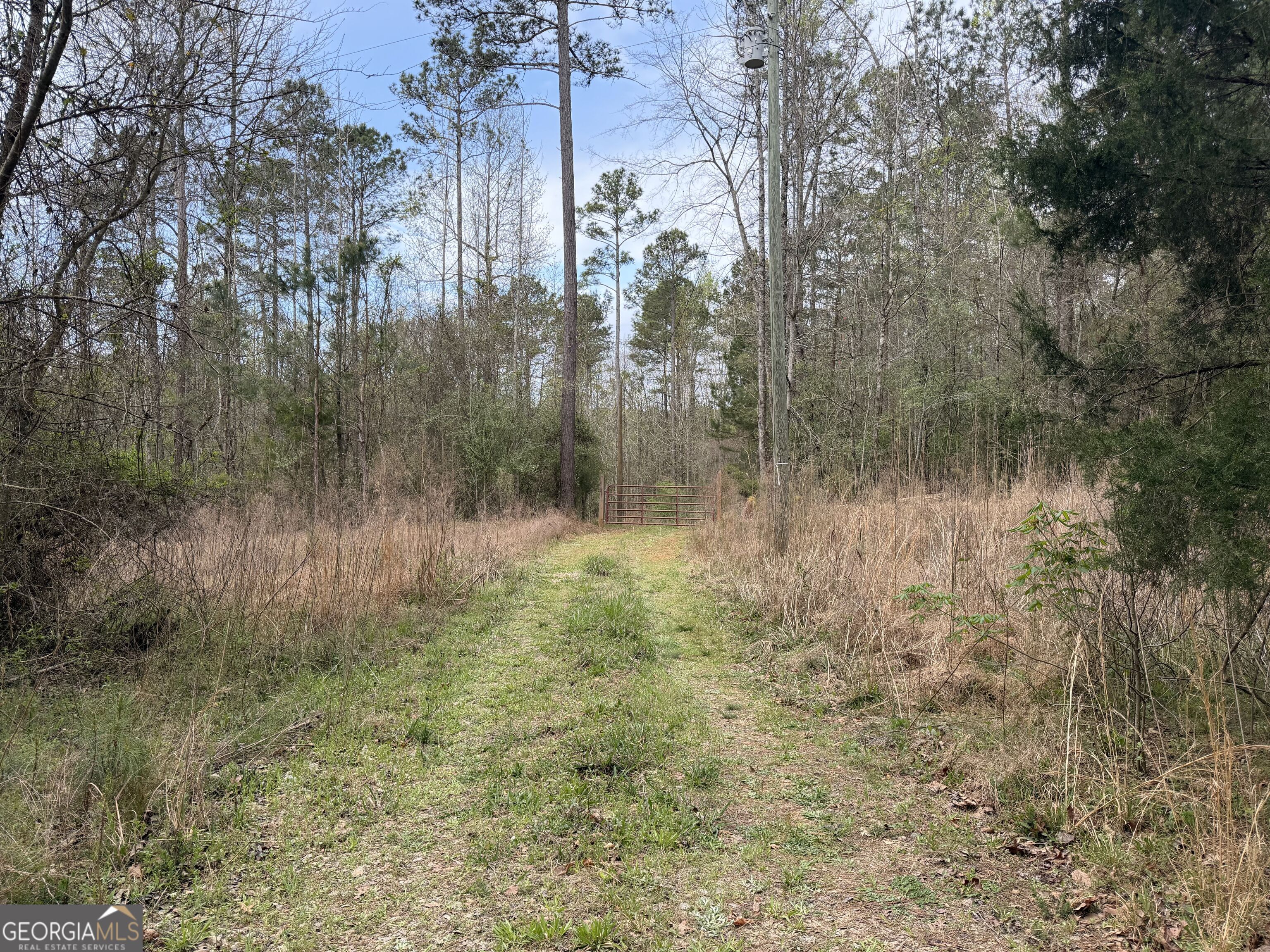 0 John Rucker Road Elberton, GA 30635 - Photo 73 of 76 a view of a lake with a yard and large trees