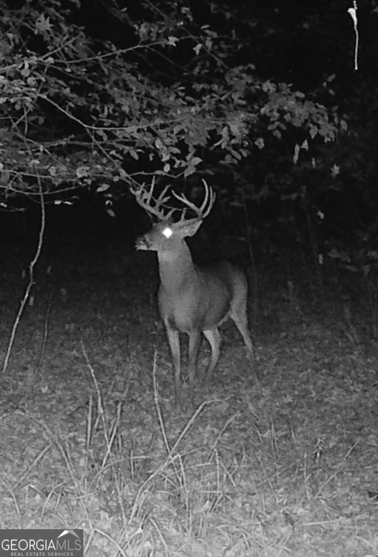 0 John Rucker Road Elberton, GA 30635 - Photo 76 of 76
