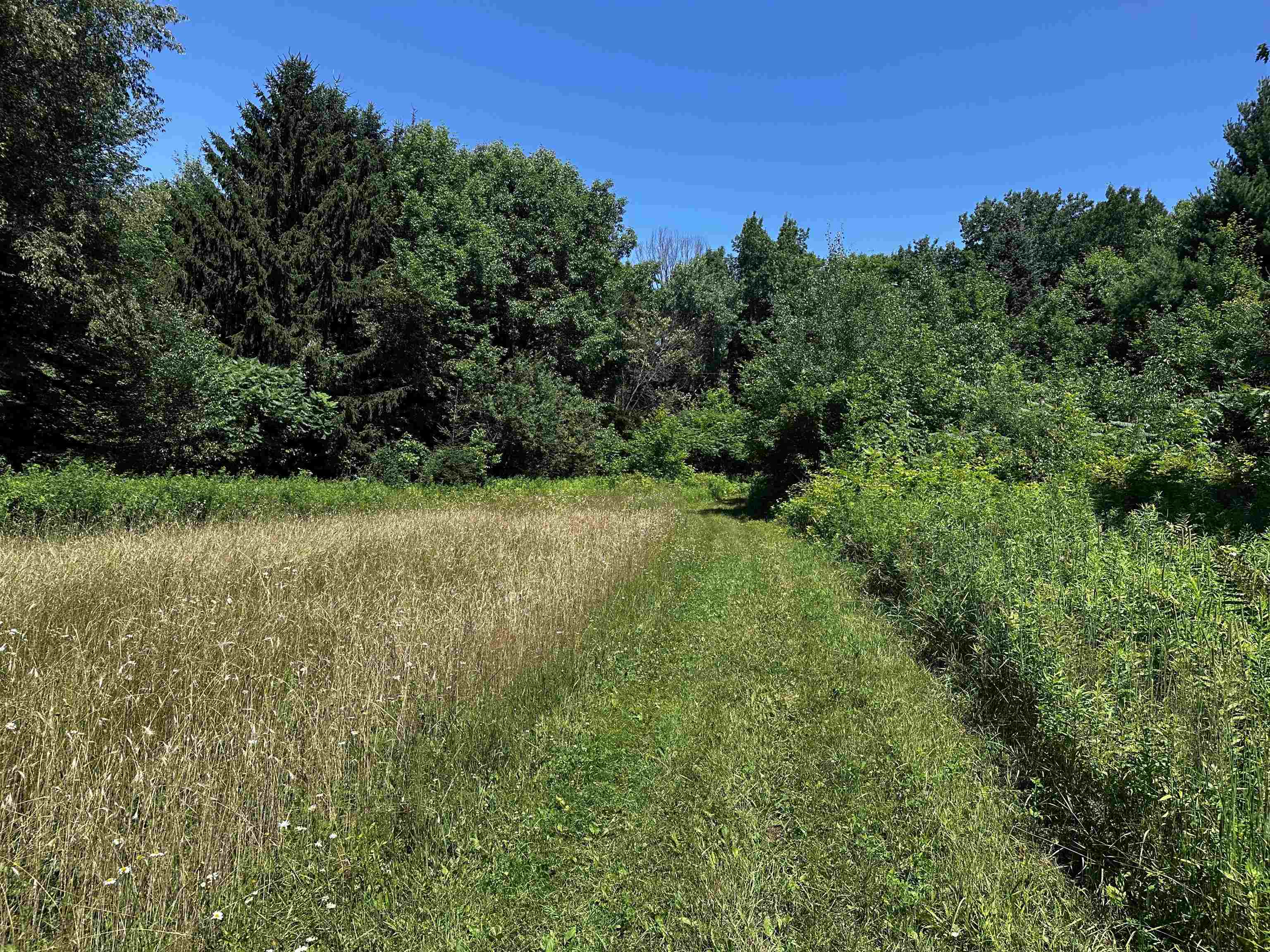 3 Acorn Drive Mosinee, WI 54455 - Photo 8 of 9