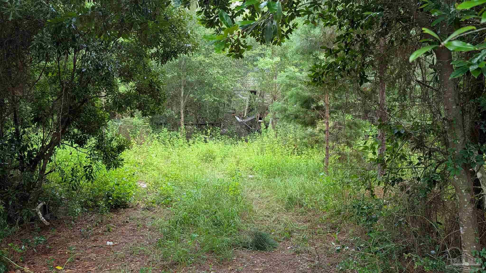 9791 Domino Road Milton, FL 32583 - Photo 4 of 12
