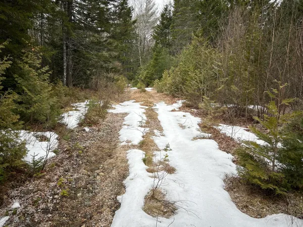 $31,500 | Wa31-p01l21 King Street, Dennysville, ME 04628