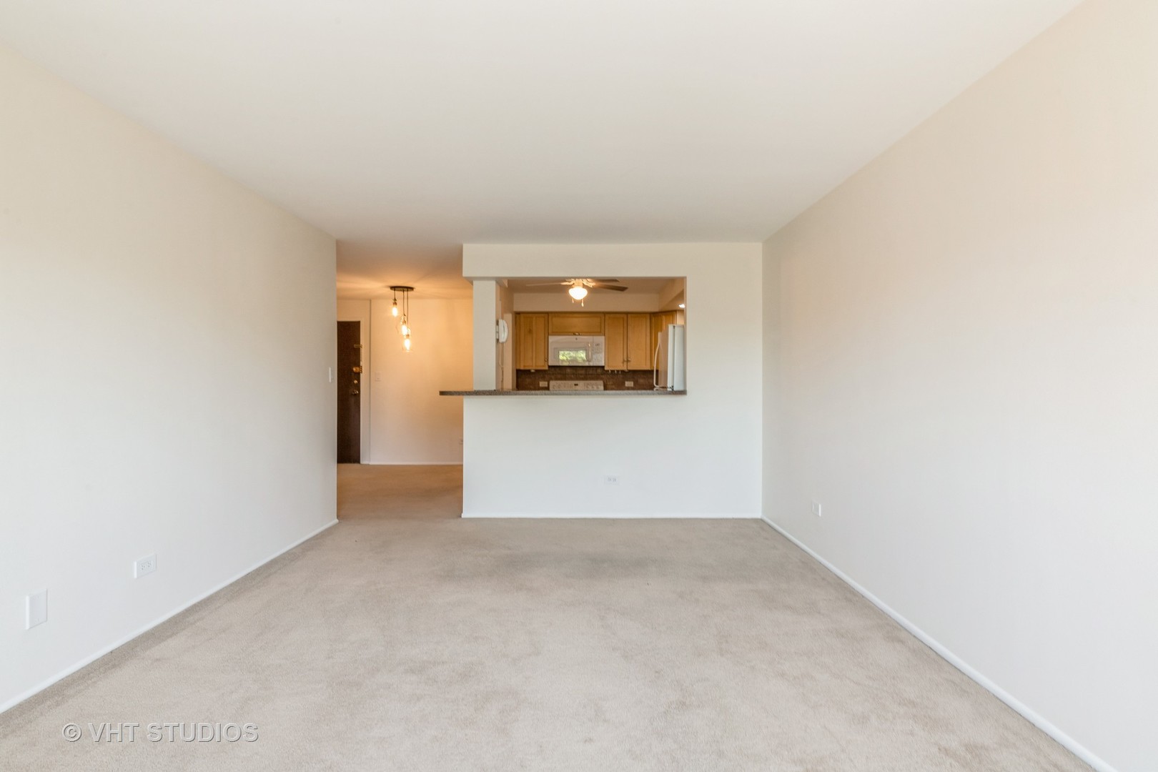 960 South River Road, Unit 308 Des Plaines, IL 60016 - Photo 7 of 10