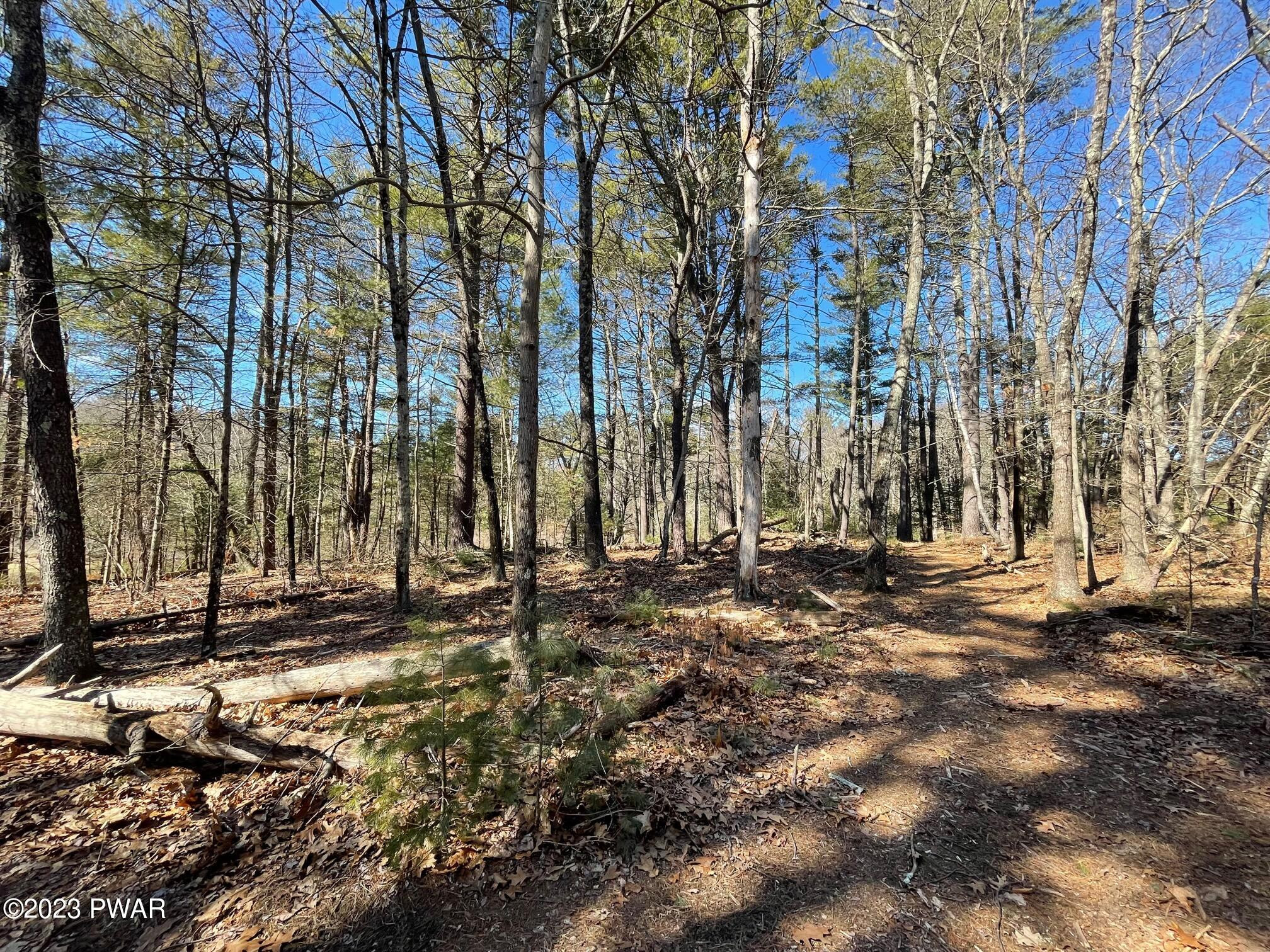 Lot 19 Mt Springs Road Milford, PA 18337 - Photo 7 of 11