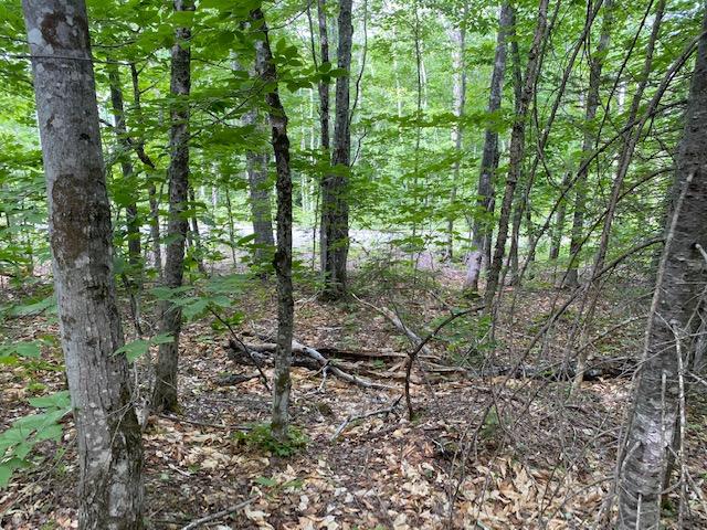 154 Blanchard Road Shirley Mills, ME 04485 - Photo 8 of 12 IMG_2711