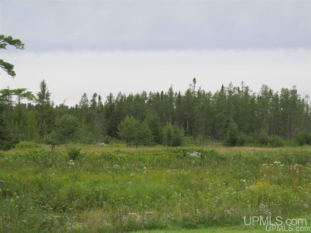 Tba Stebbins Road Perronville, MI 49873 - Photo 24 of 30 Gallery Image 24