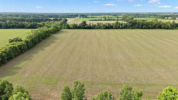 a view of a lake with a city