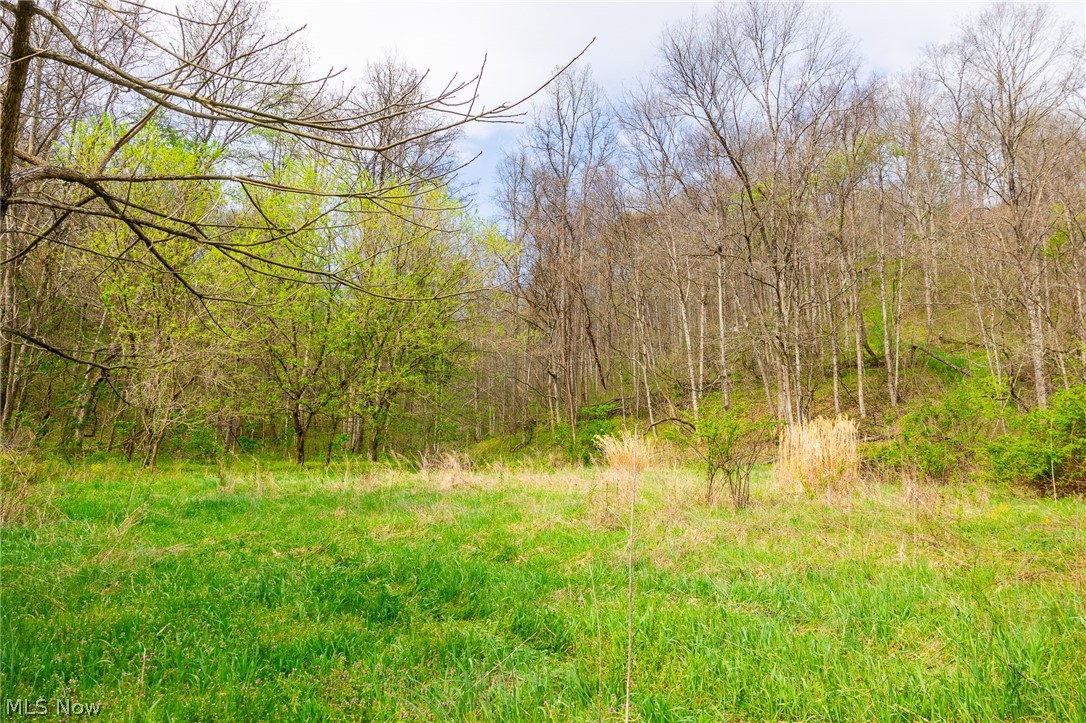 2115 Goss Fork Road, Unit 2 Whipple, OH 45788 - Photo 20 of 23