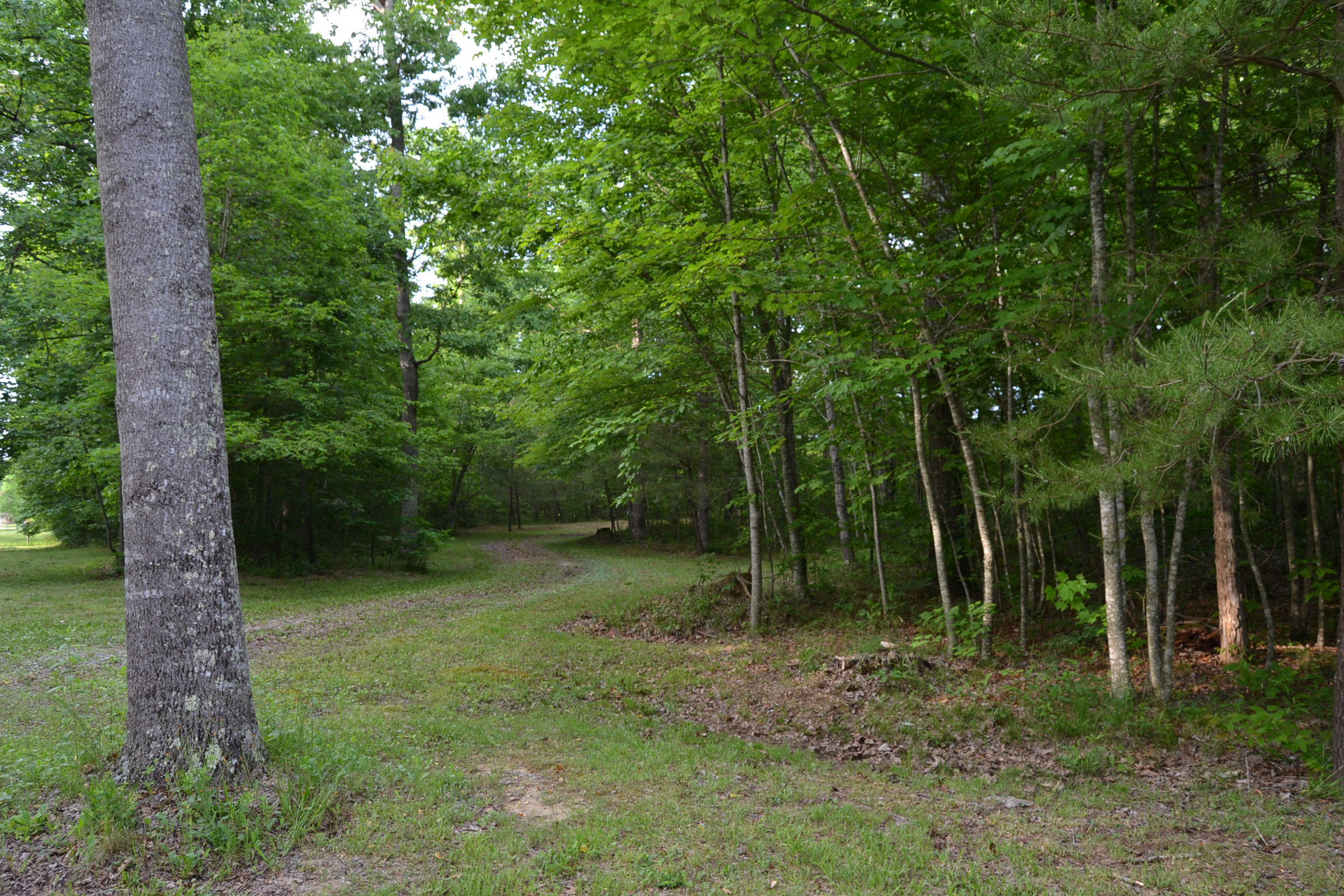262 McCormic Road Crossville, TN 38571 - Photo 16 of 23 16