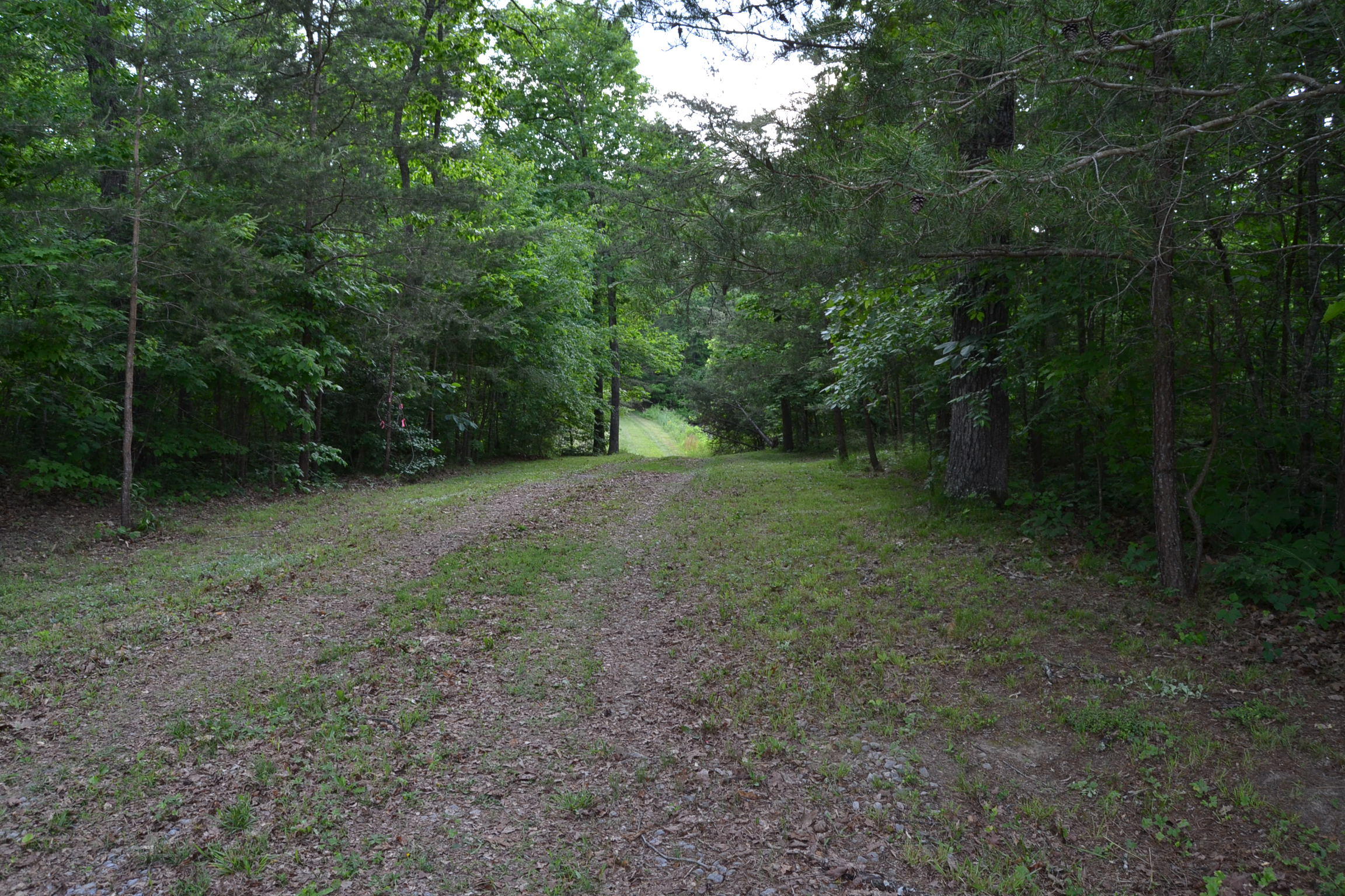 262 McCormic Road Crossville, TN 38571 - Photo 3 of 23 3
