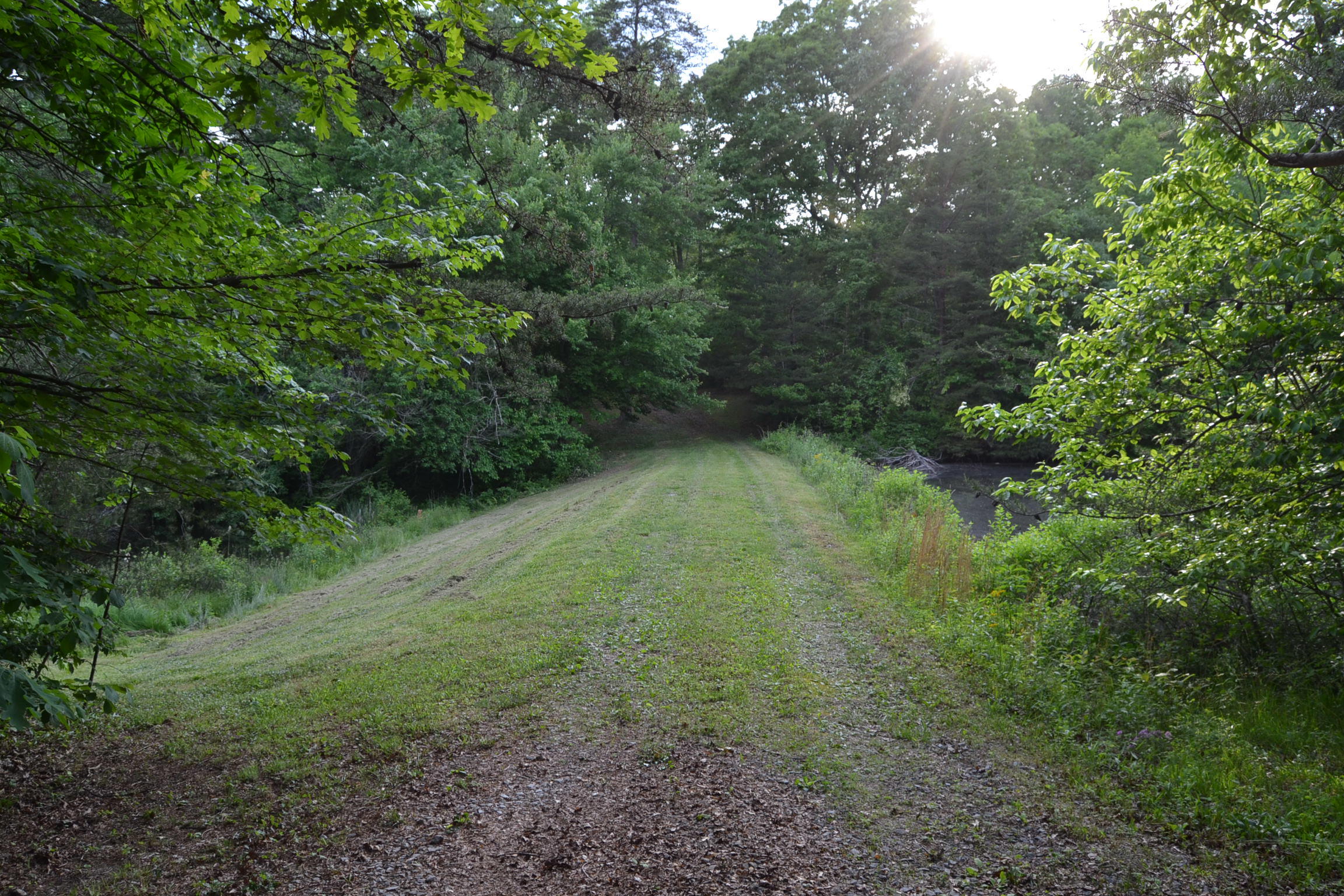 262 McCormic Road Crossville, TN 38571 - Photo 4 of 23 4