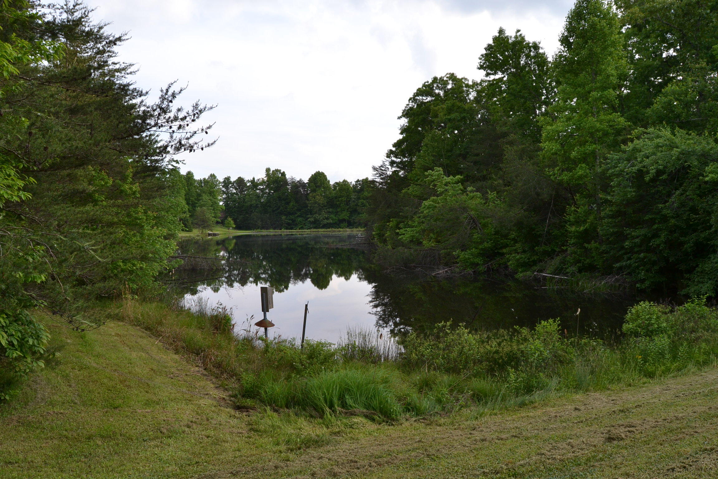 262 McCormic Road Crossville, TN 38571 - Photo 5 of 23 5